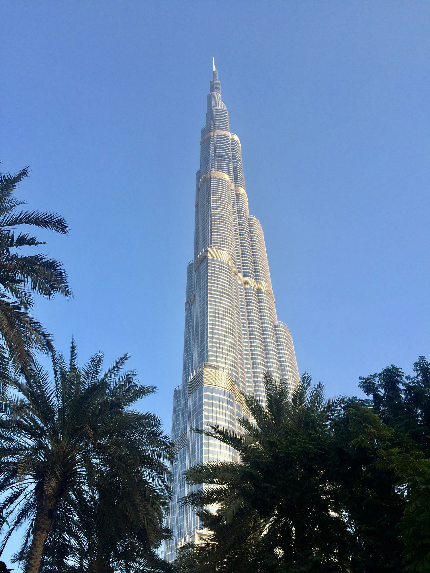 IMG_5015.jpg