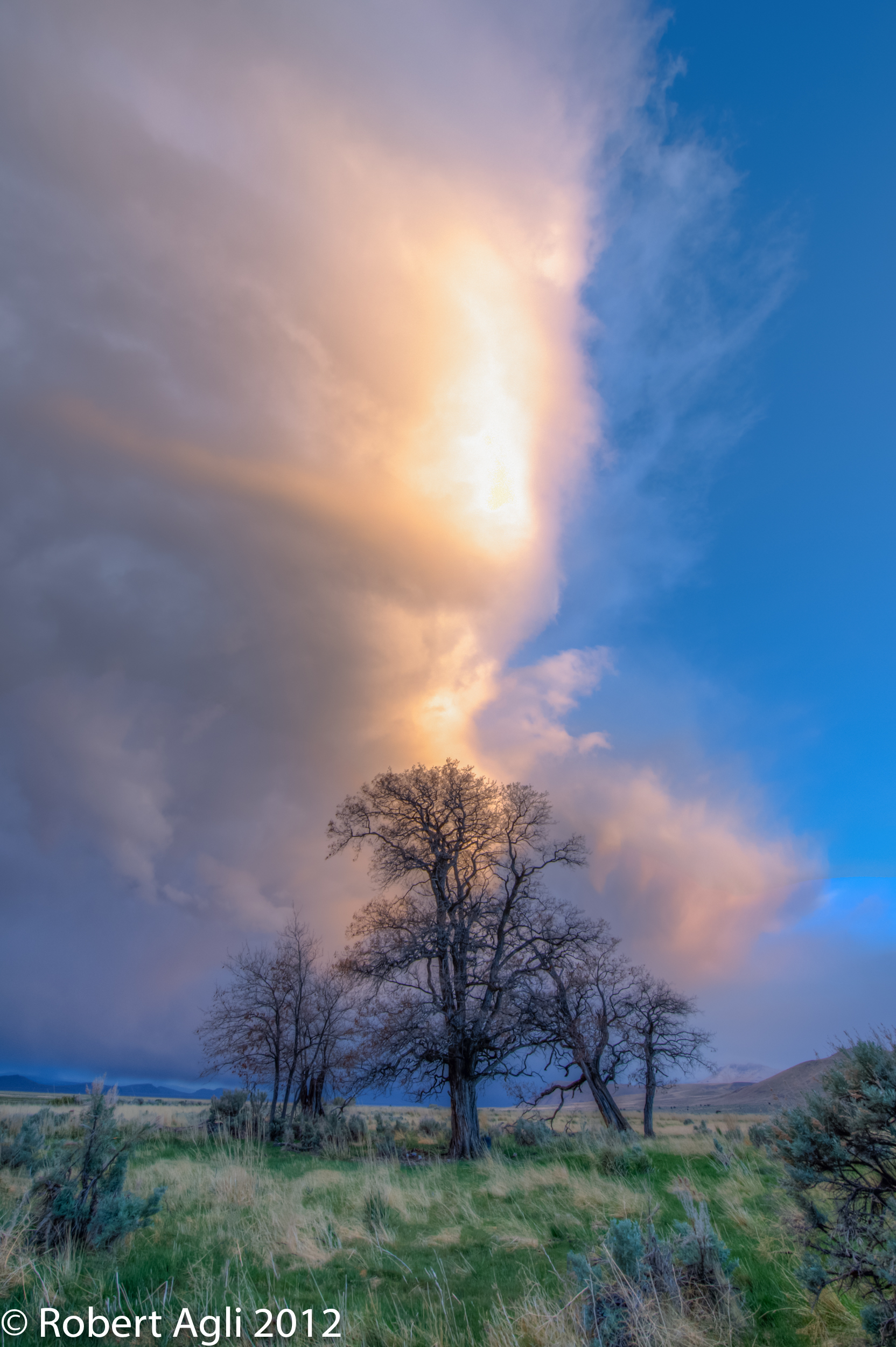 Alvord Desert Storm.jpg