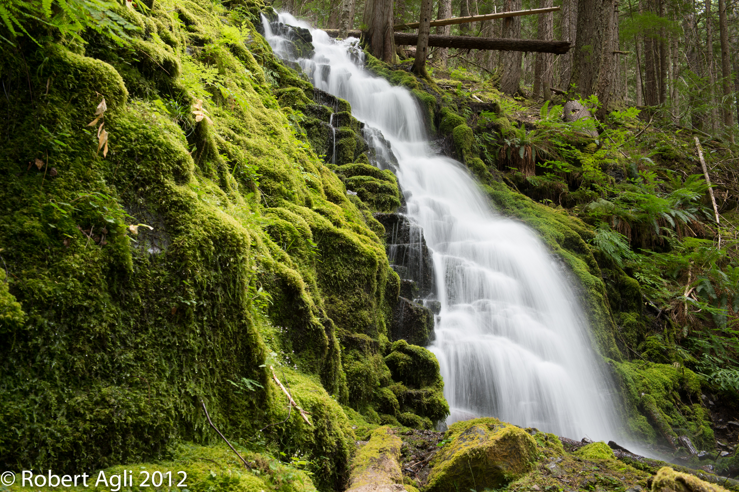 White Branch Falls.jpg