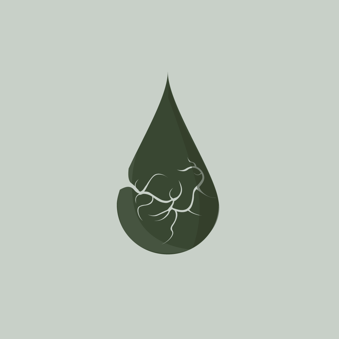 Main-icon-1.png