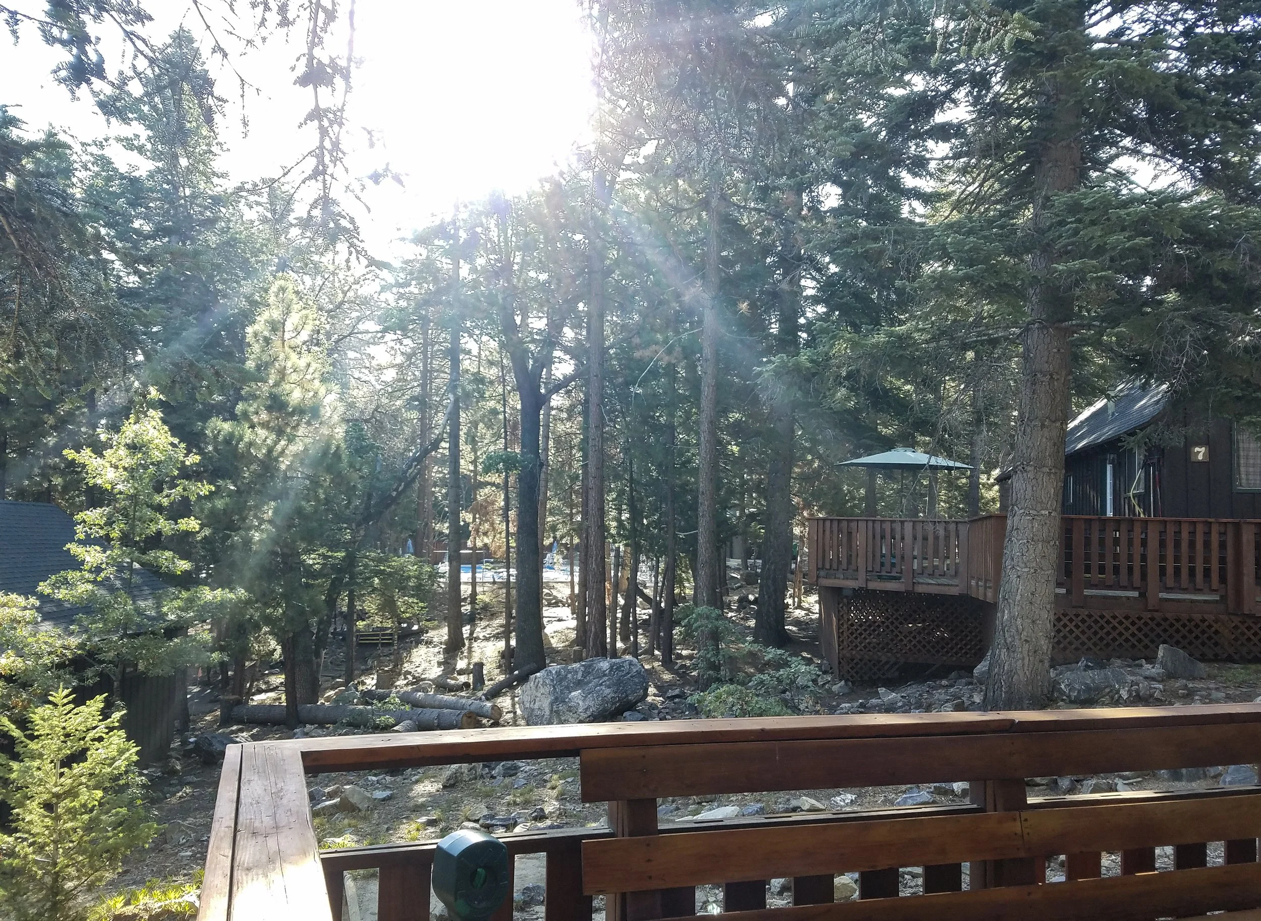 copyright Abbey Chamberlain_20180820_081807cc.JPG