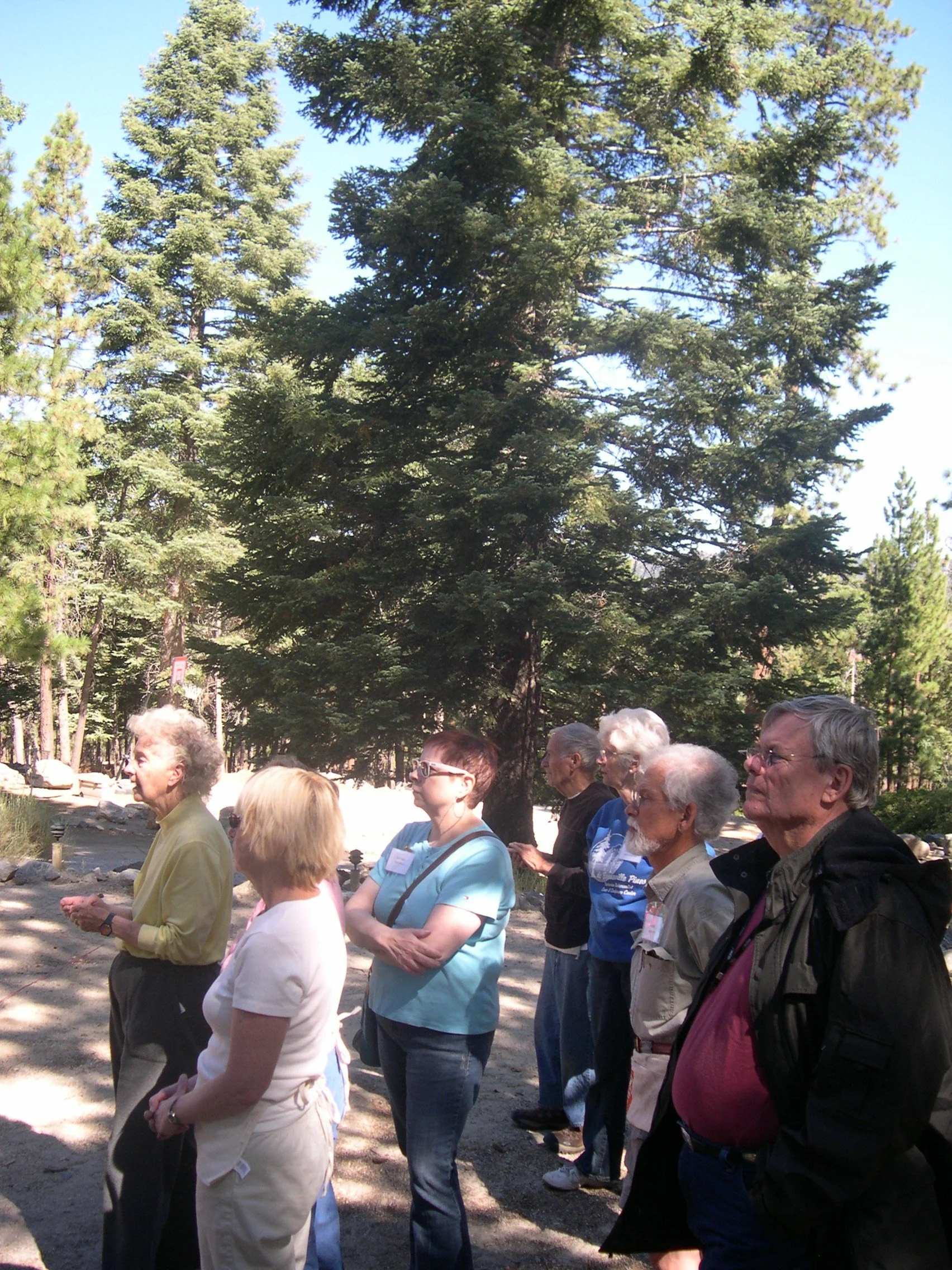 2009 Laura Janes DSCN3816.JPG