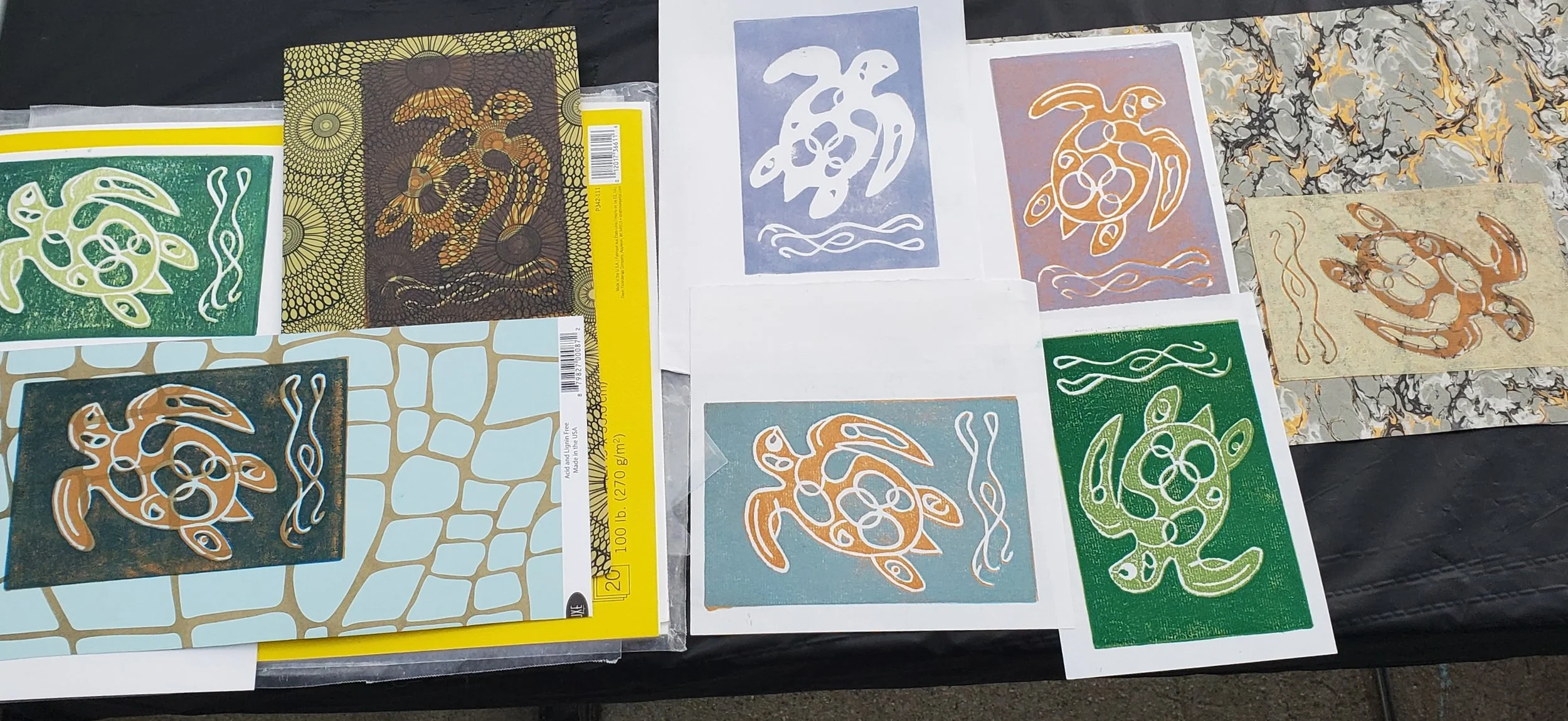 20250908_091750-turtles PM c.jpg