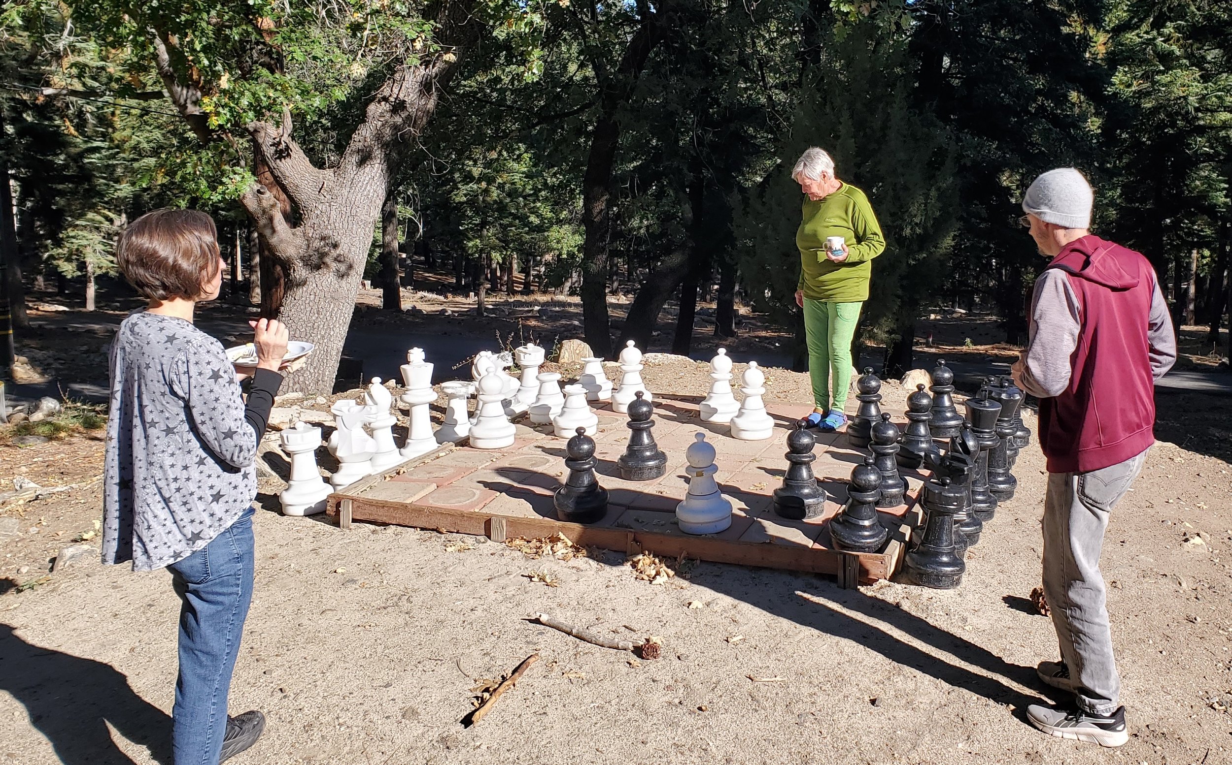 20250909_084857 Chess-c.jpg