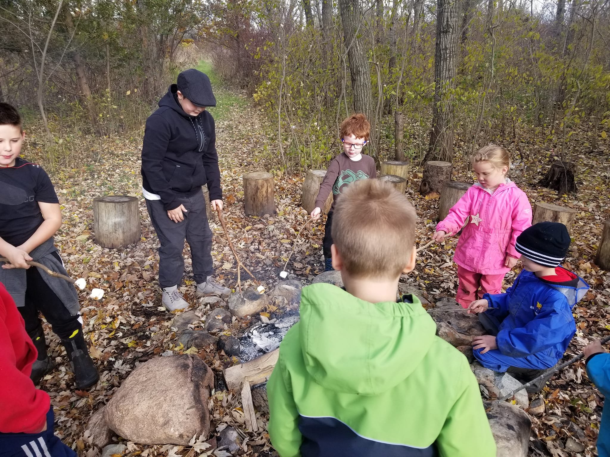 Wild Heart Forest, Farm and Nature School