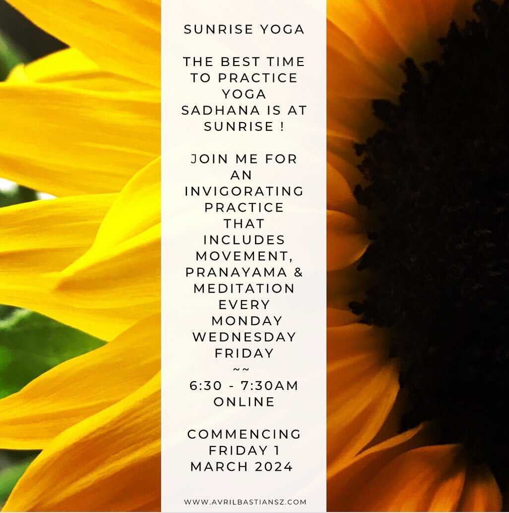 Sunrise Yoga - Shakti Yoga Sadhana is a 60-minute, 3 x times weekly (mon-wed-fri) online, holistic yoga practice that you can do without leaving home. A regular &amp; consistent and well rounded yoga practice has been shown to offer many health benef