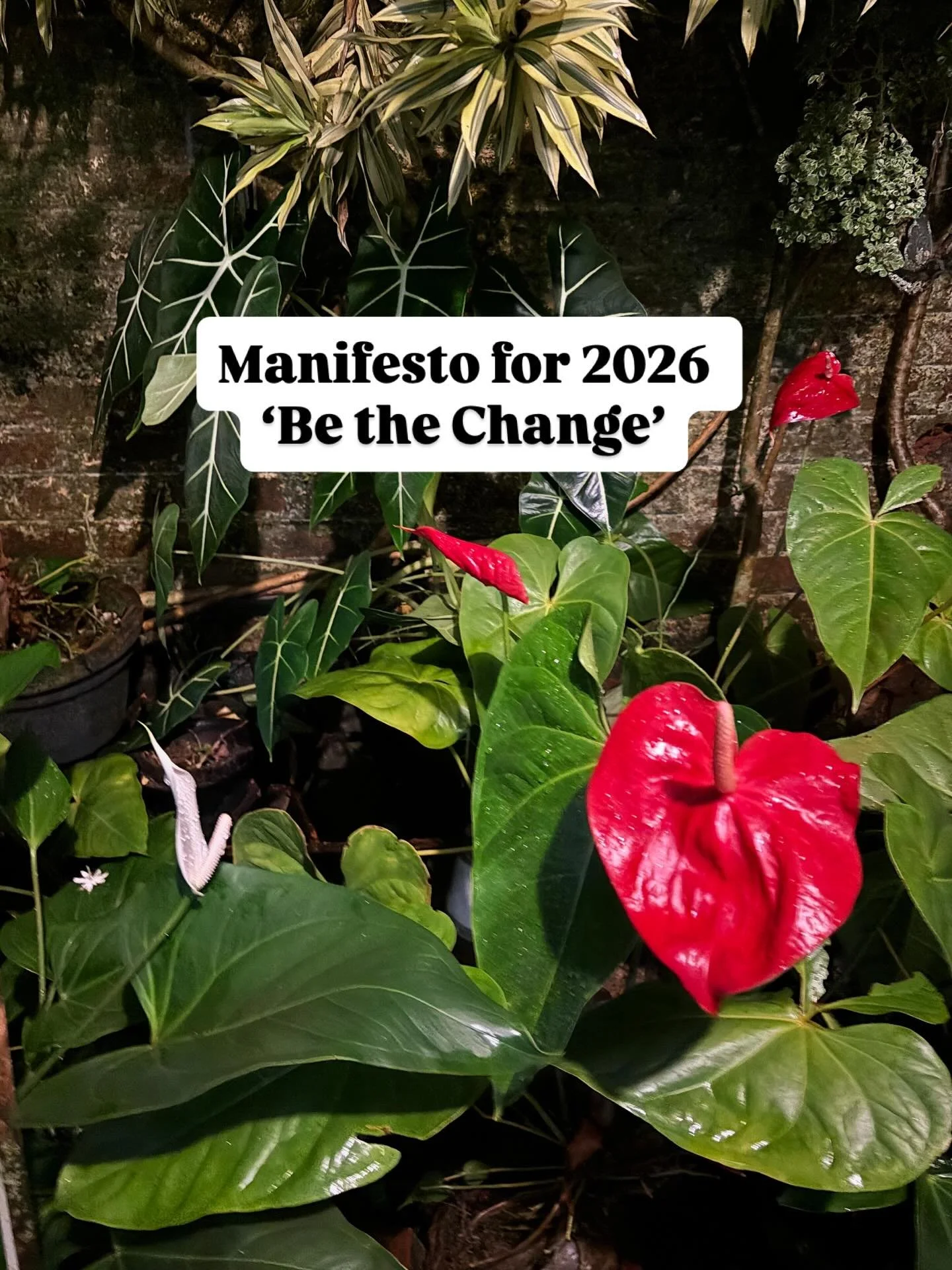 A Manifesto for 2026

I feel that 2026 calls for practical wisdom and selfless acts of service &mdash;
to repair, restore, revive, and reset society wherever we see injustice,
wherever things have gone astray,
wherever there has been erosion, decay, 