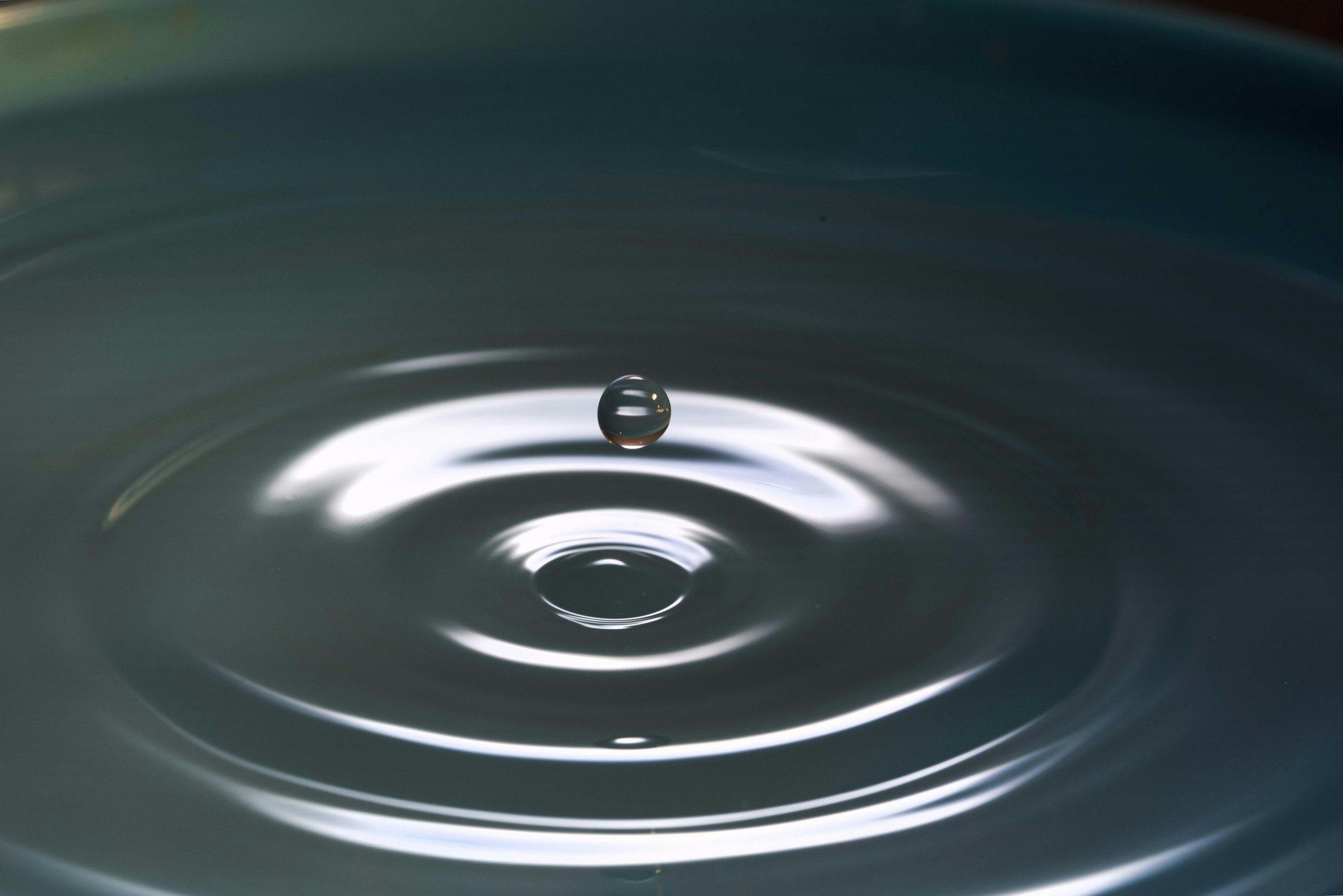 The Pause: Between Stimulus &amp; Response