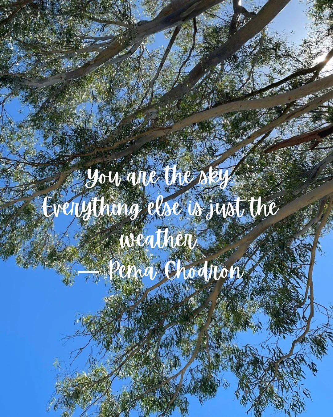 &ldquo;You are the sky. Everything else is just the weather.&rdquo;&mdash; Pema Ch&ouml;dr&ouml;n

When we speak about anxiety, there are two important dimensions.

The first is learning how to regulate the nervous system. Through breath, movement, r