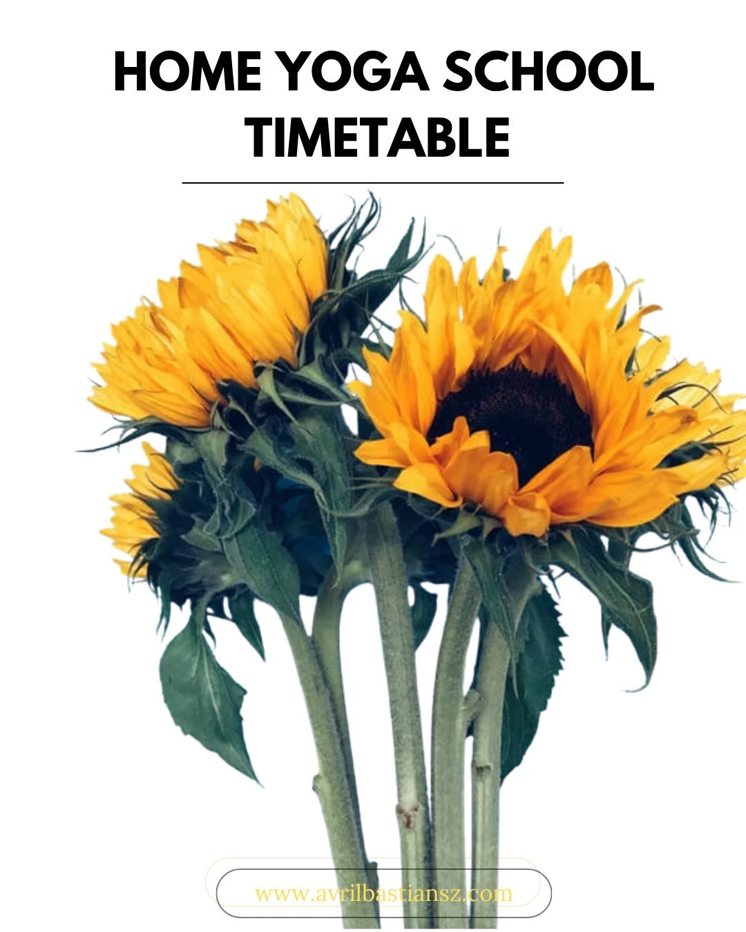 Home Yoga School Timetable - 
Weekly yoga classes, meditation, satsang and practice.

A simple and consistent rhythm of practice, meditation and study. Beginning with a small and intentional schedule, which will evolve over time.

If you are new to Y