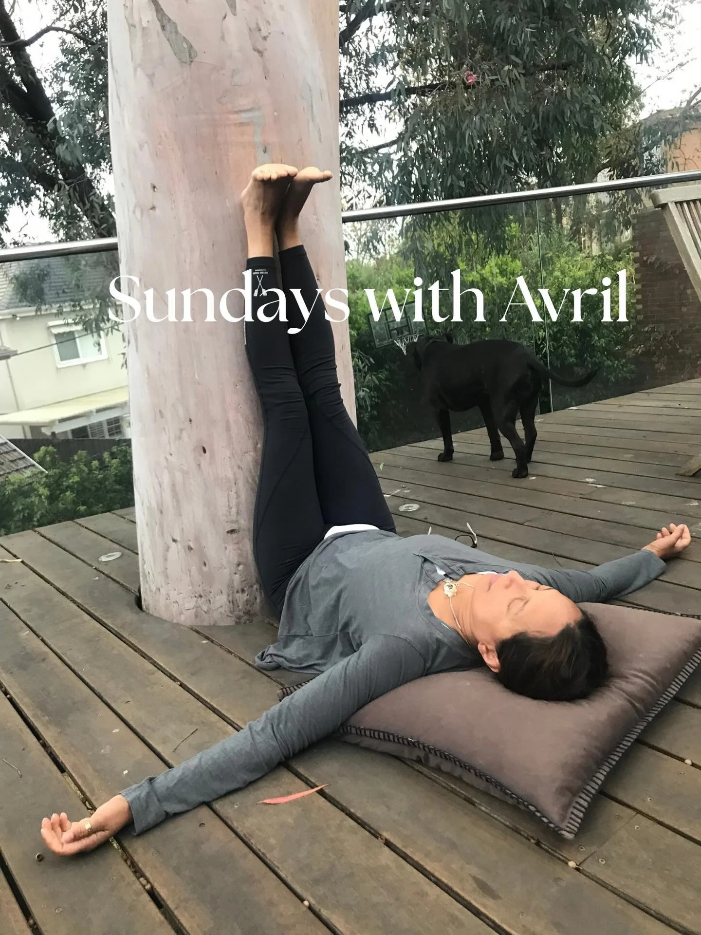 Relax Your Body. Nourish Your Mind 

Thd perfect Self-care practice to begin your week. 

Join me tomorrow at 9:30am at my home yoga space for a 60-minute restorative class.
A space to soften, open, and allow the body to deeply relax &mdash; supporti
