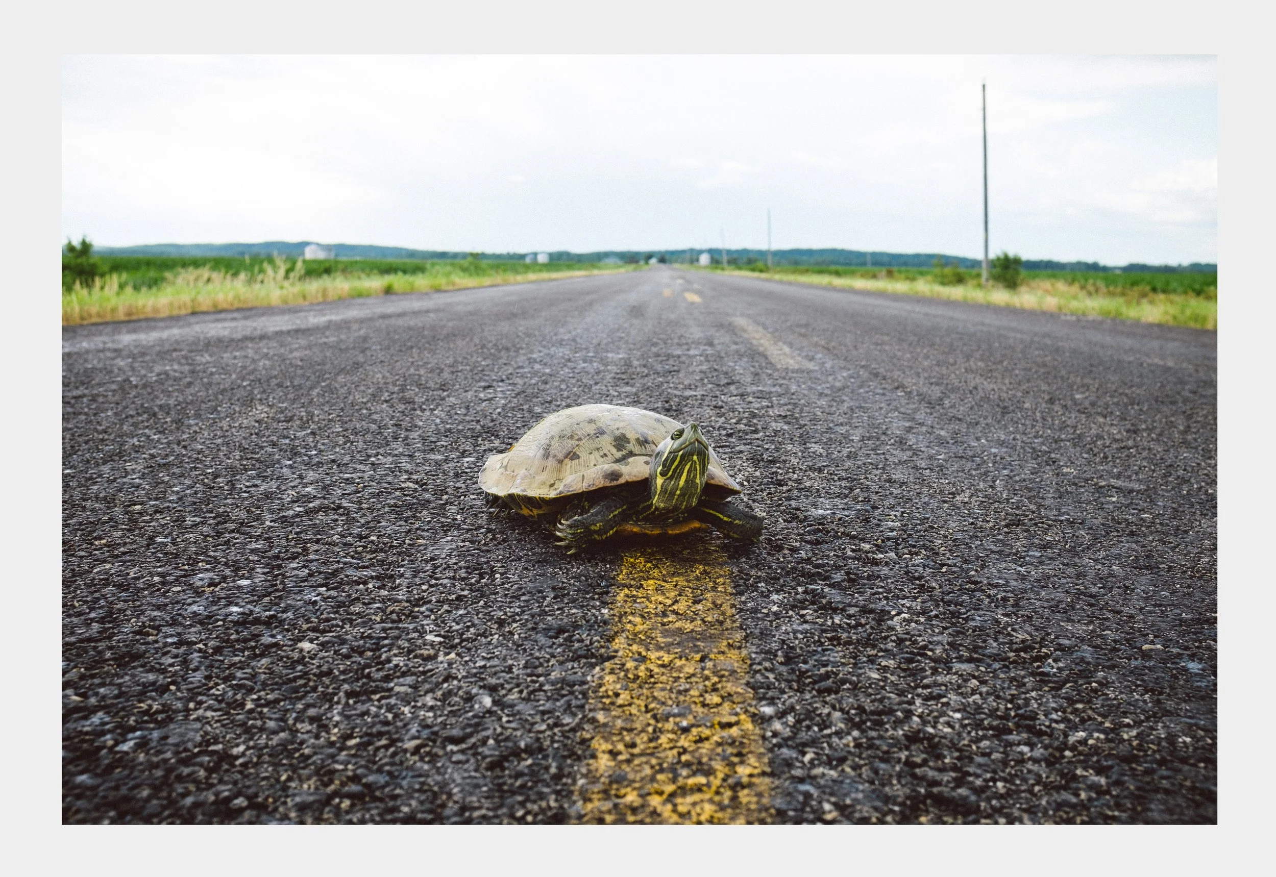 KARI ROWE VISUAL DIRECTION PORTFOLIO 2024-LANDSCAPE_Page_07.jpg