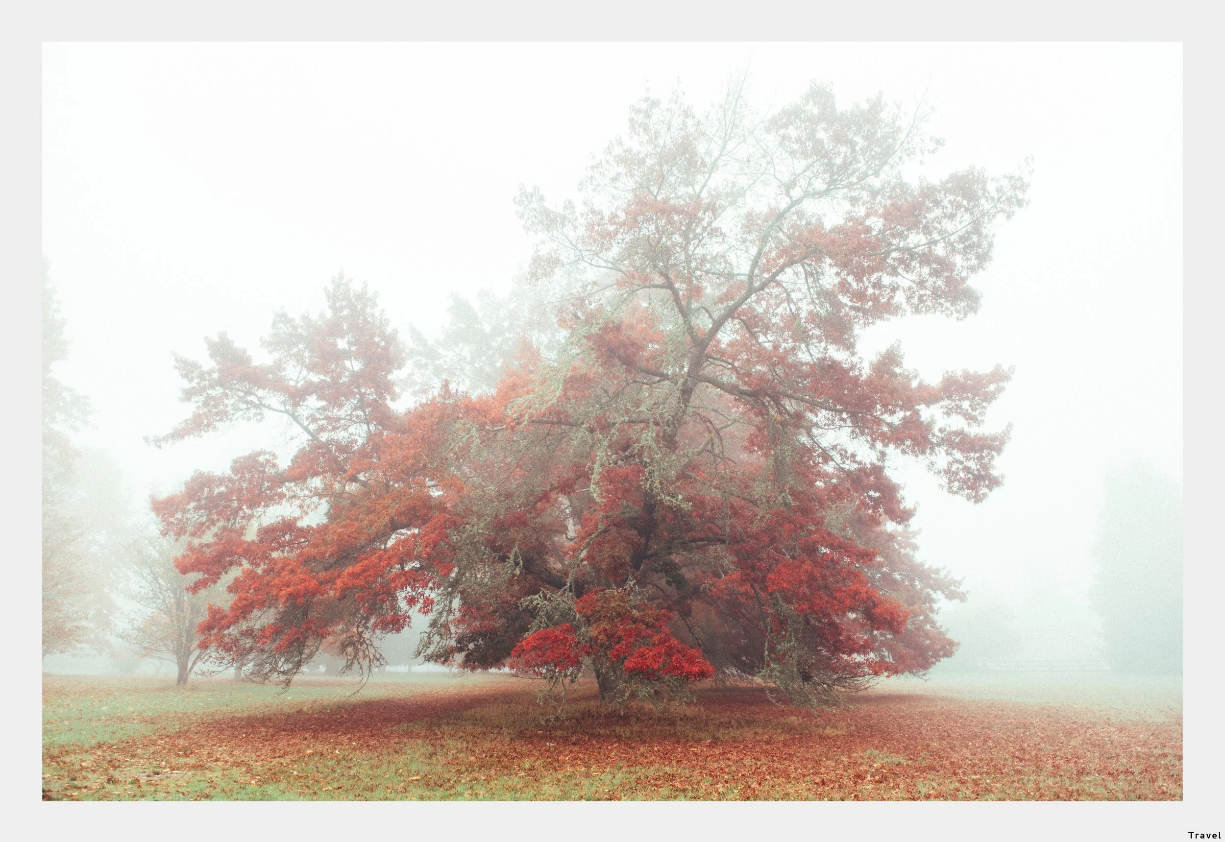 KARI ROWE VISUAL DIRECTION PORTFOLIO 2024-LANDSCAPE_Page_33.jpg