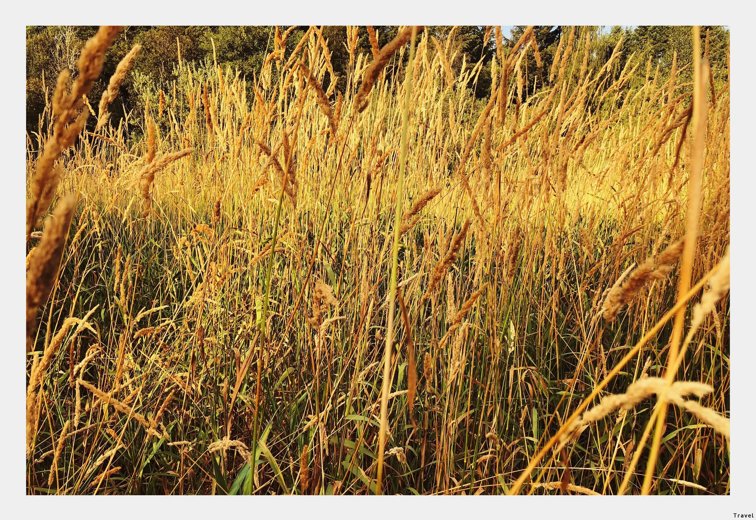 KARI ROWE VISUAL DIRECTION PORTFOLIO 2024-LANDSCAPE_Page_51.jpg