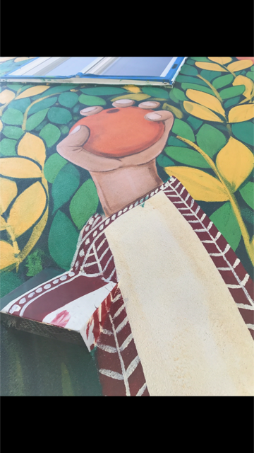 Yaffa orange clenched in Amals hand like a rock.