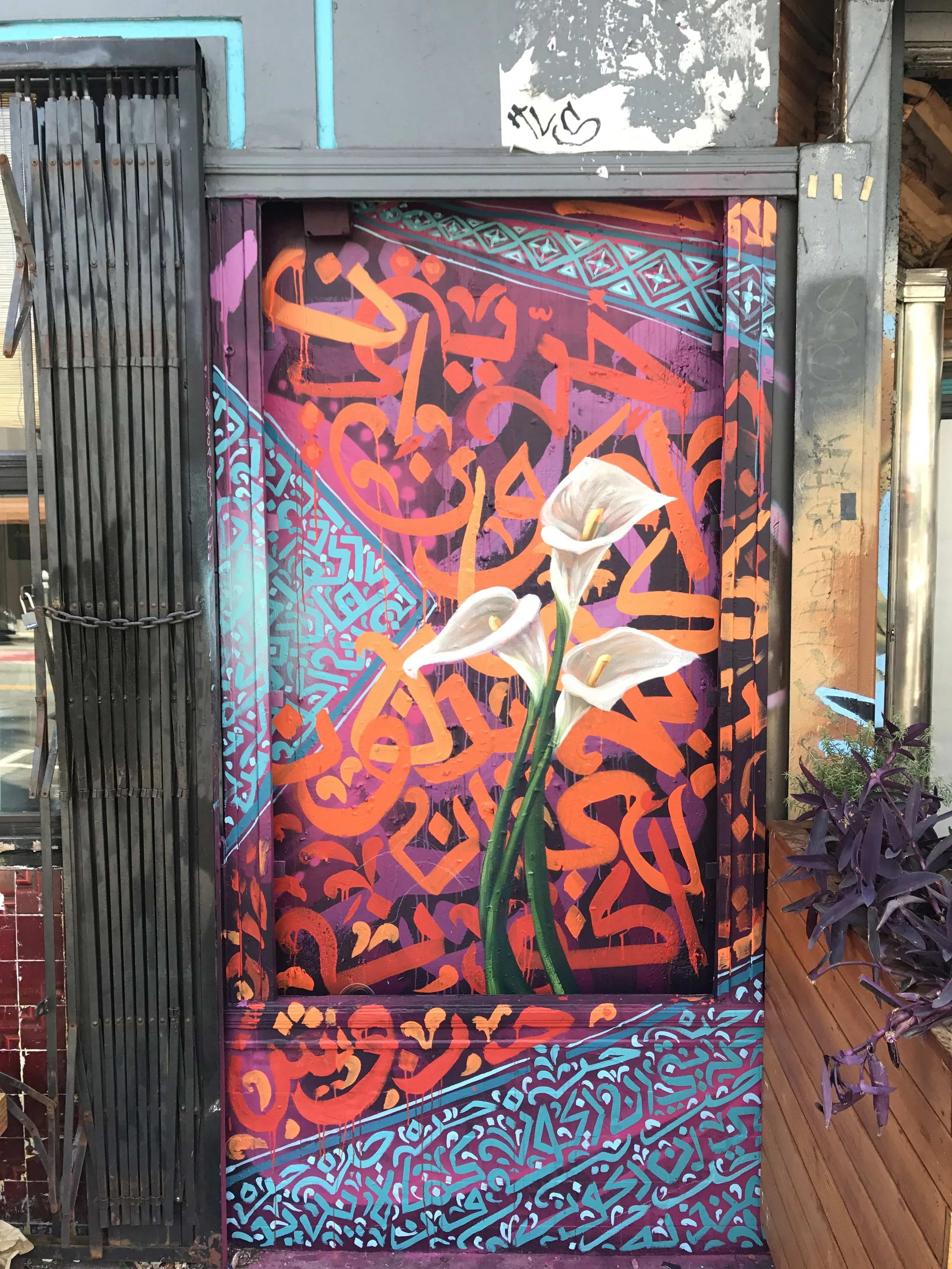 Collaboration with Eli Lippert (cali lily) for Grand Coffee SF Mission district.