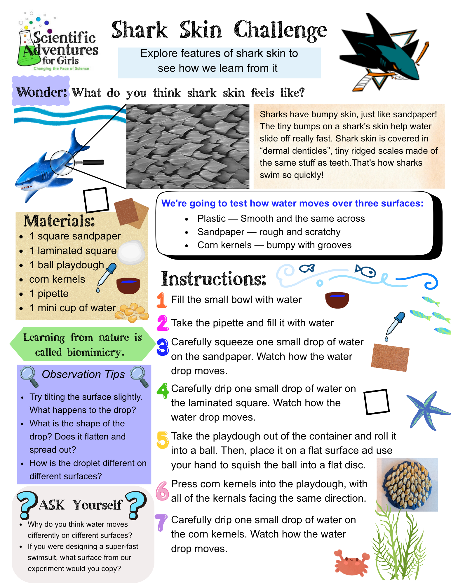 Sharks STEM Kit — Scientific Adventures for Girls