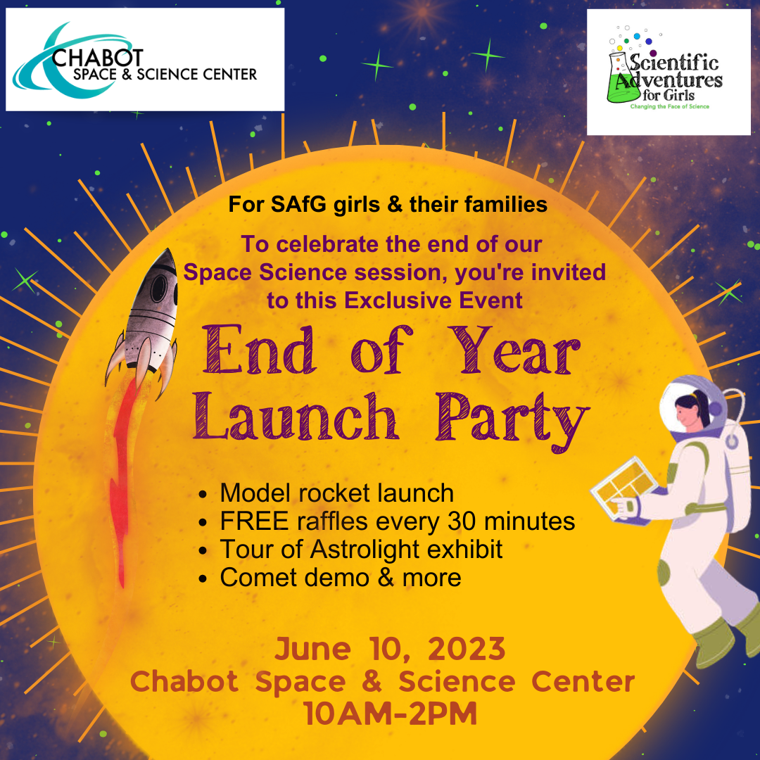 SAfG's End of Year Launch Party 