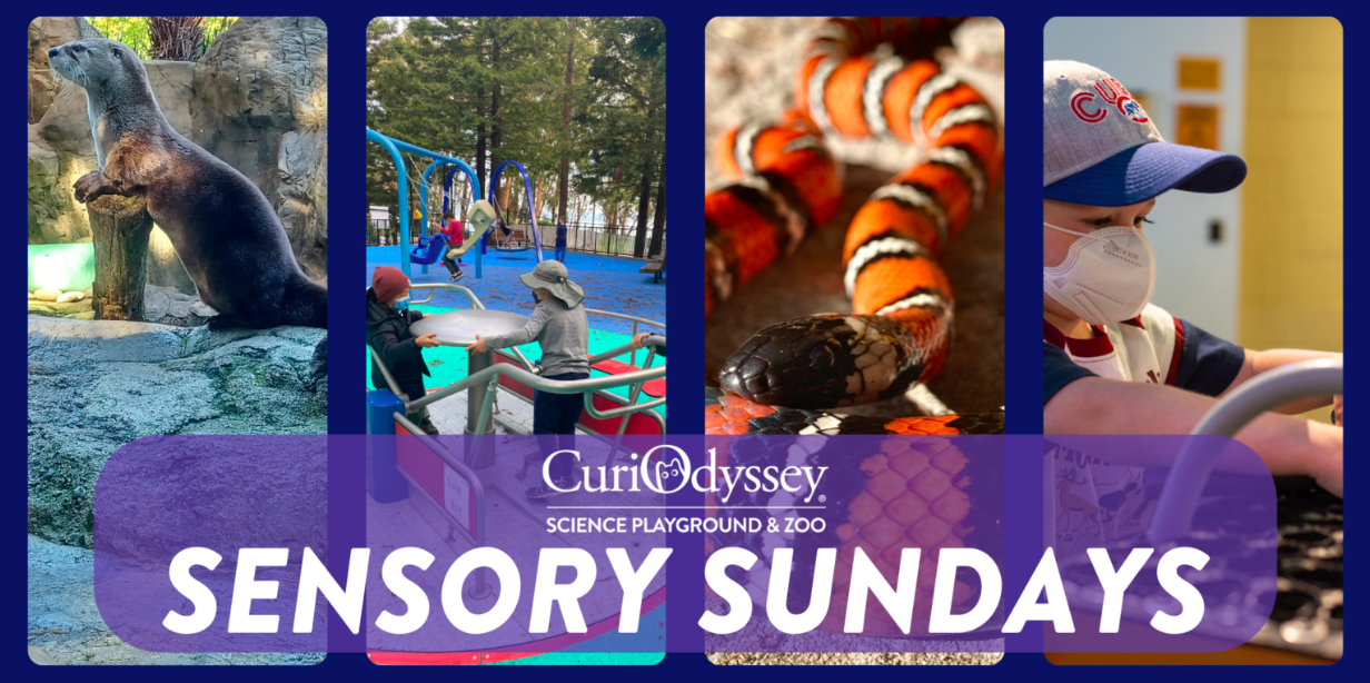 CuriOdyssey's Sensory Sundays 