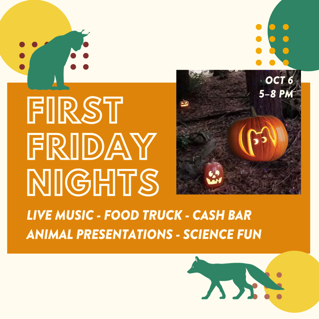 CuriOdyssey's First Friday Nights