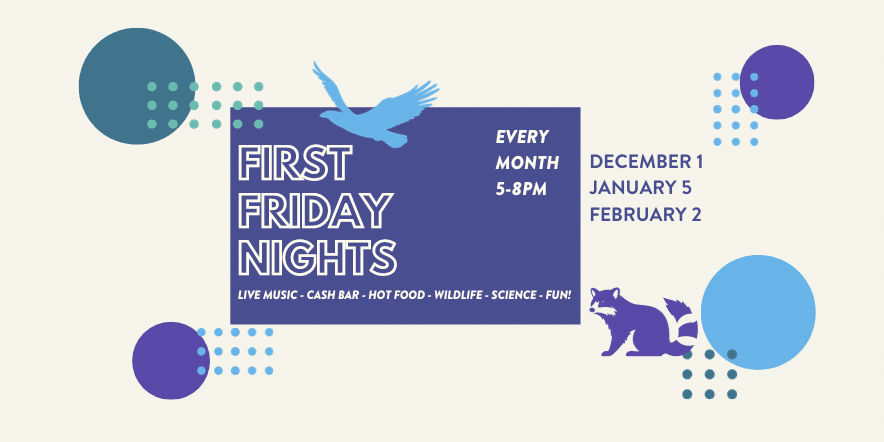 CuriOdyssey's First Friday Nights  
