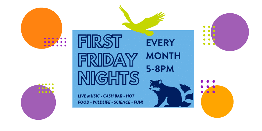 CuriOdyssey's First Friday Nights  