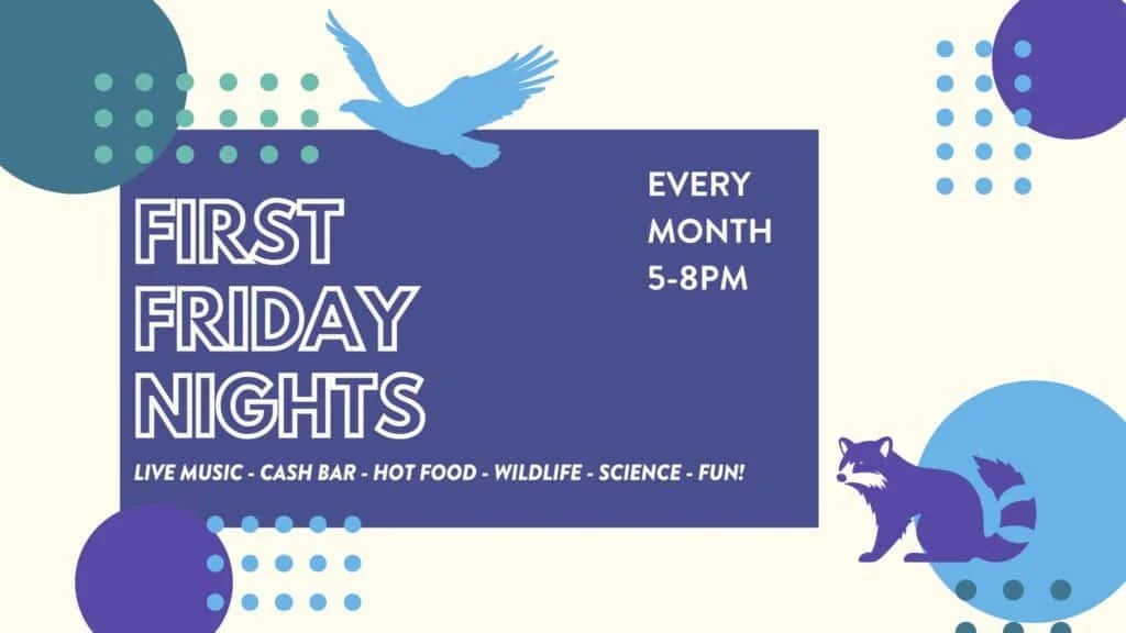 CuriOdyssey's First Friday Nights