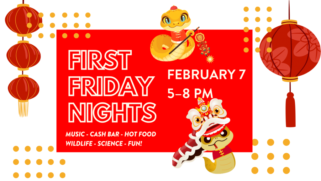 CuriOdyssey's First Friday Nights 