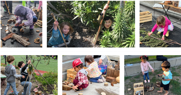 Emeryville Children &amp; Nature: Nature Pop-Up Series 