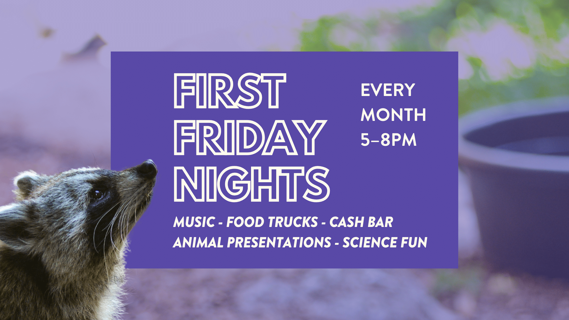 CuriOdyssey First Friday Nights