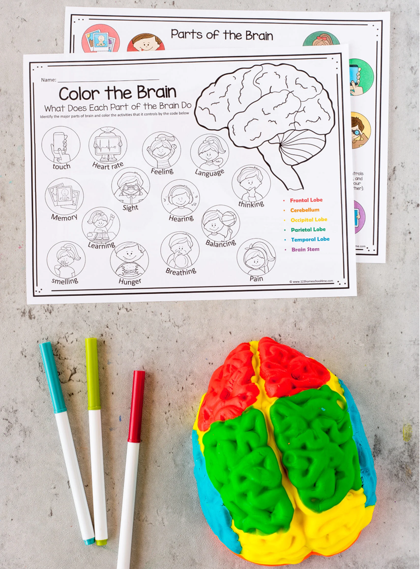 The Amazing Brain Adventure 