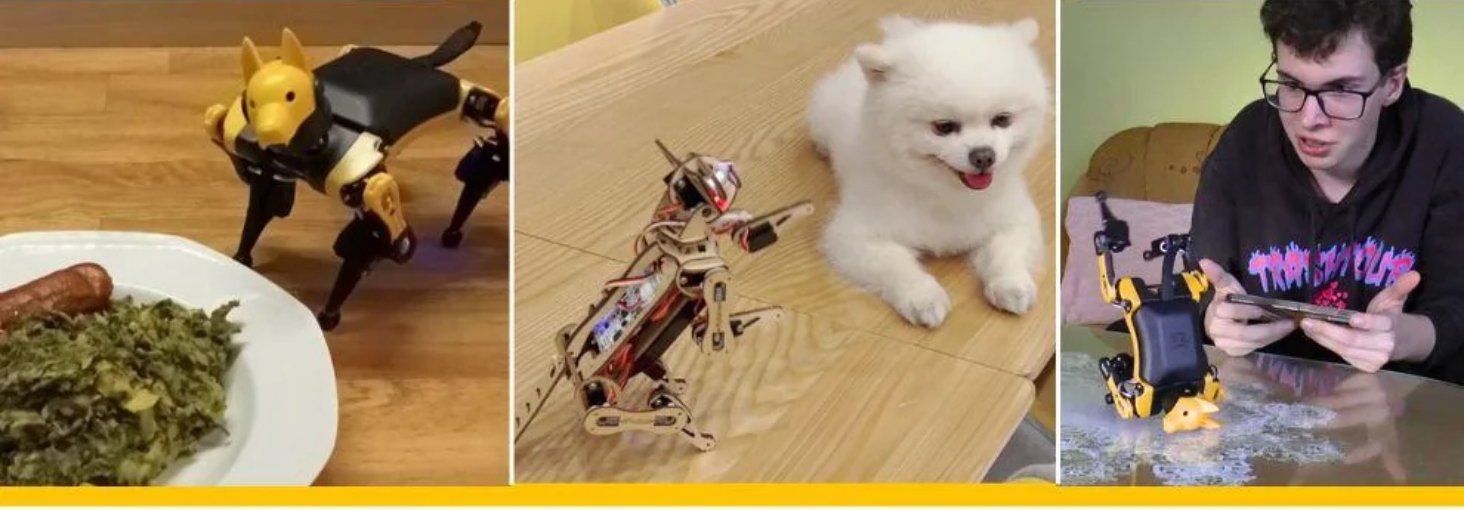 National Robotics Week 2026: Petoi Robotics &amp; AI Celebration 