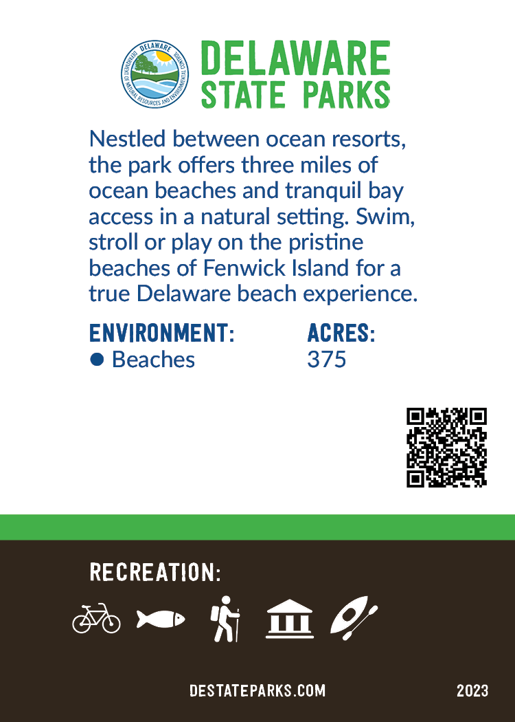 8-MKT-TradingCards-FISP-CARD08232.png