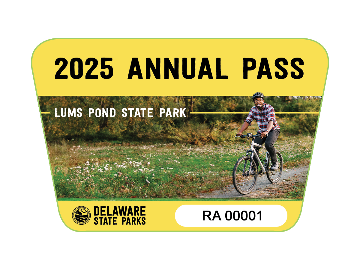 OBS-AnnualPass-FINAL-DECAL2025-1.png