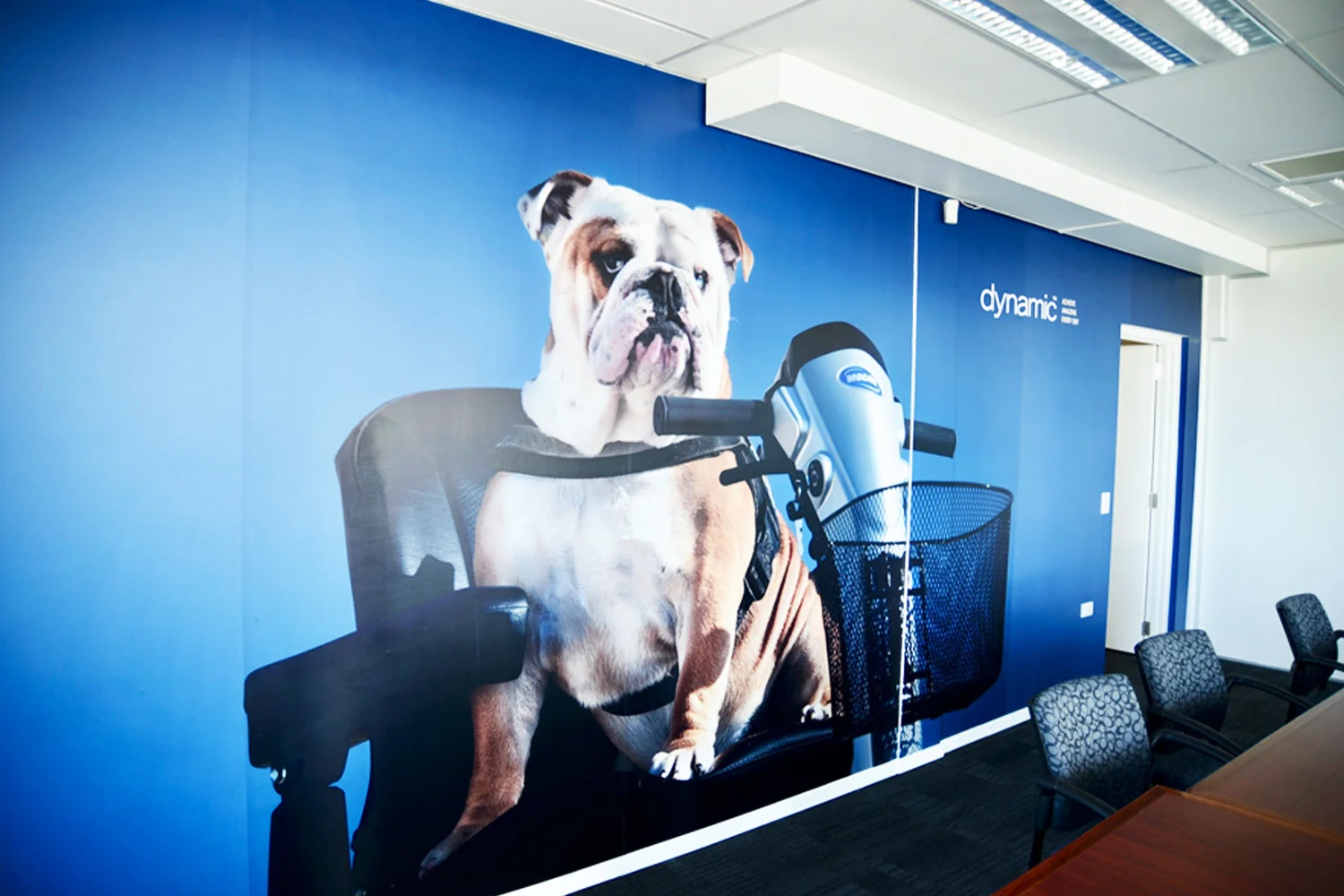 Dynamic_Bull Dog 1a_Web.jpg