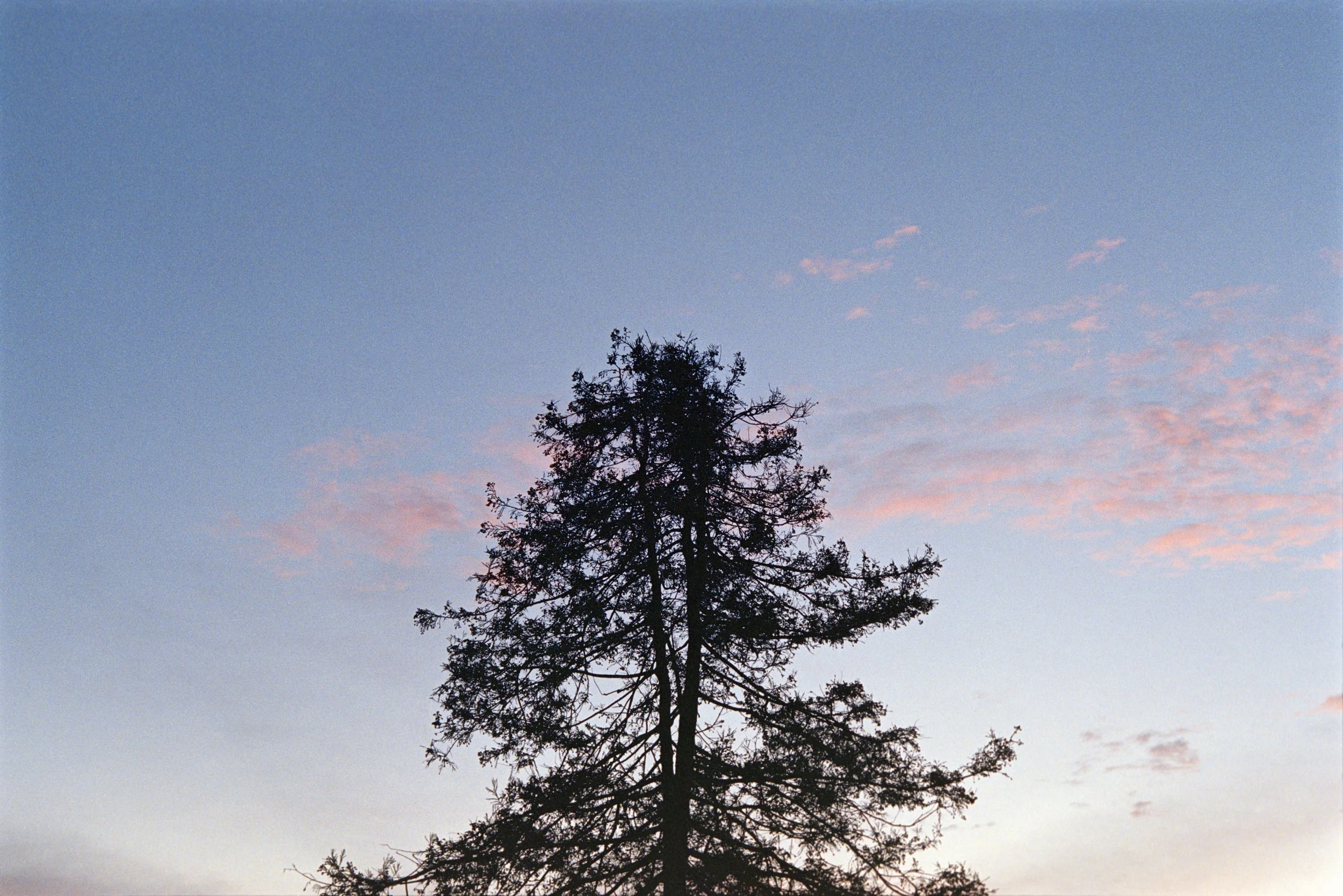 12-23-23-KodakPortra-400-R9_48Bit_g2p0730 copy.jpg