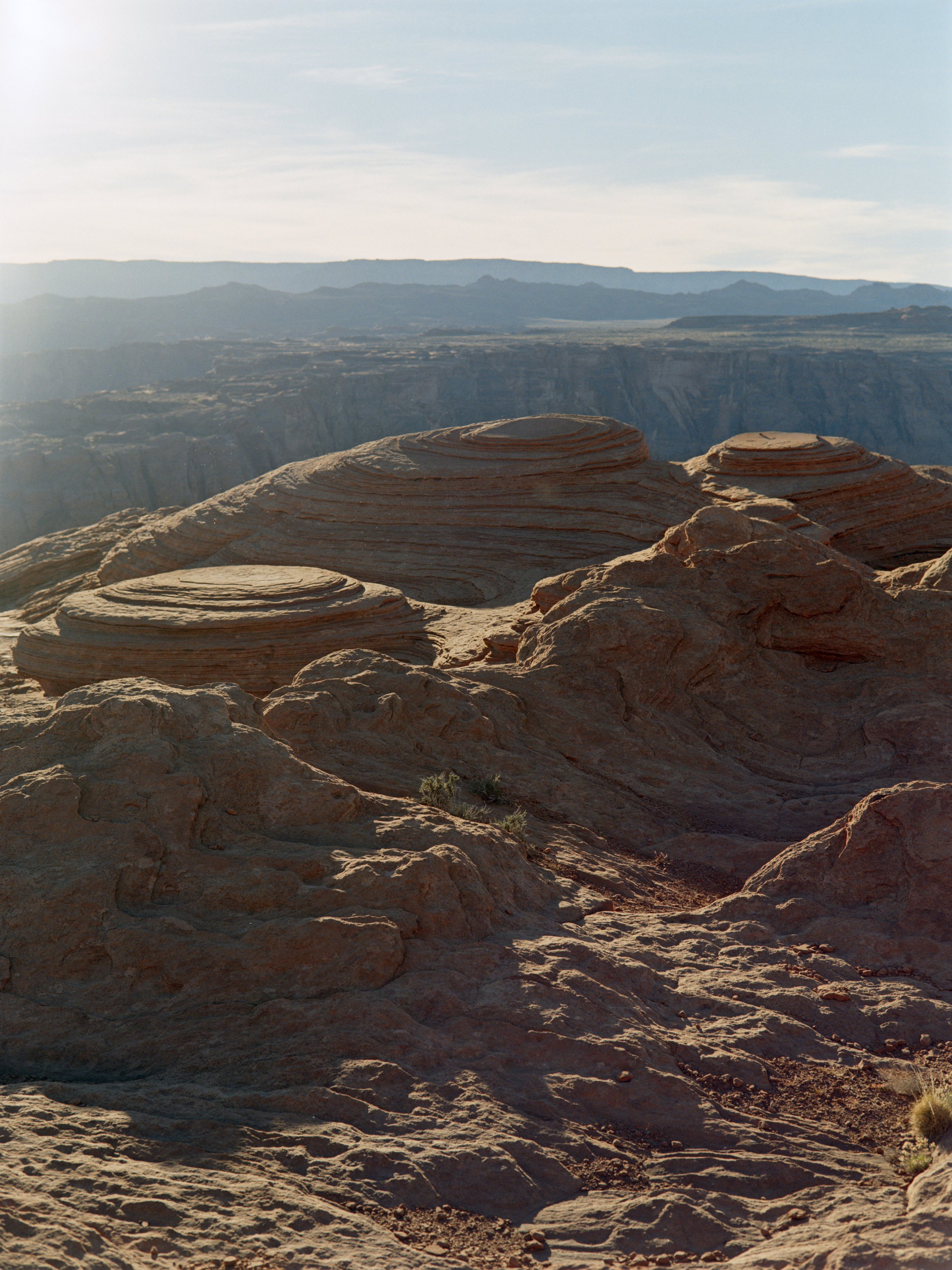 3-17-26b-Kodakgold200-120-R169-6.jpg