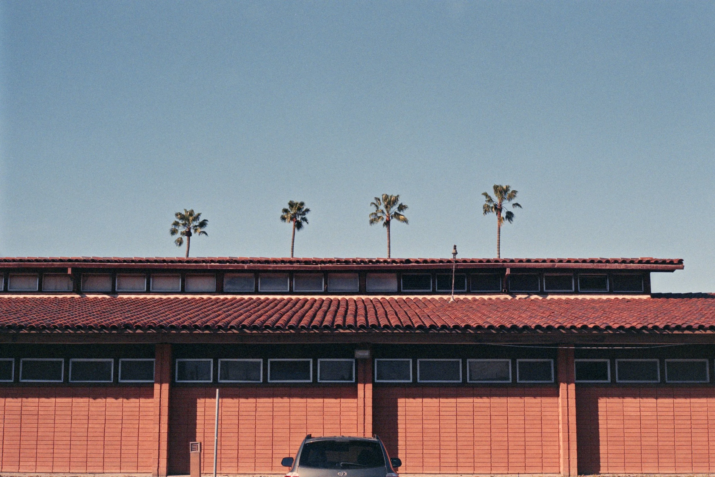 2-18-24-FujiSuperiaXtra-400-R18_48Bit_g2p0042 copy.jpg