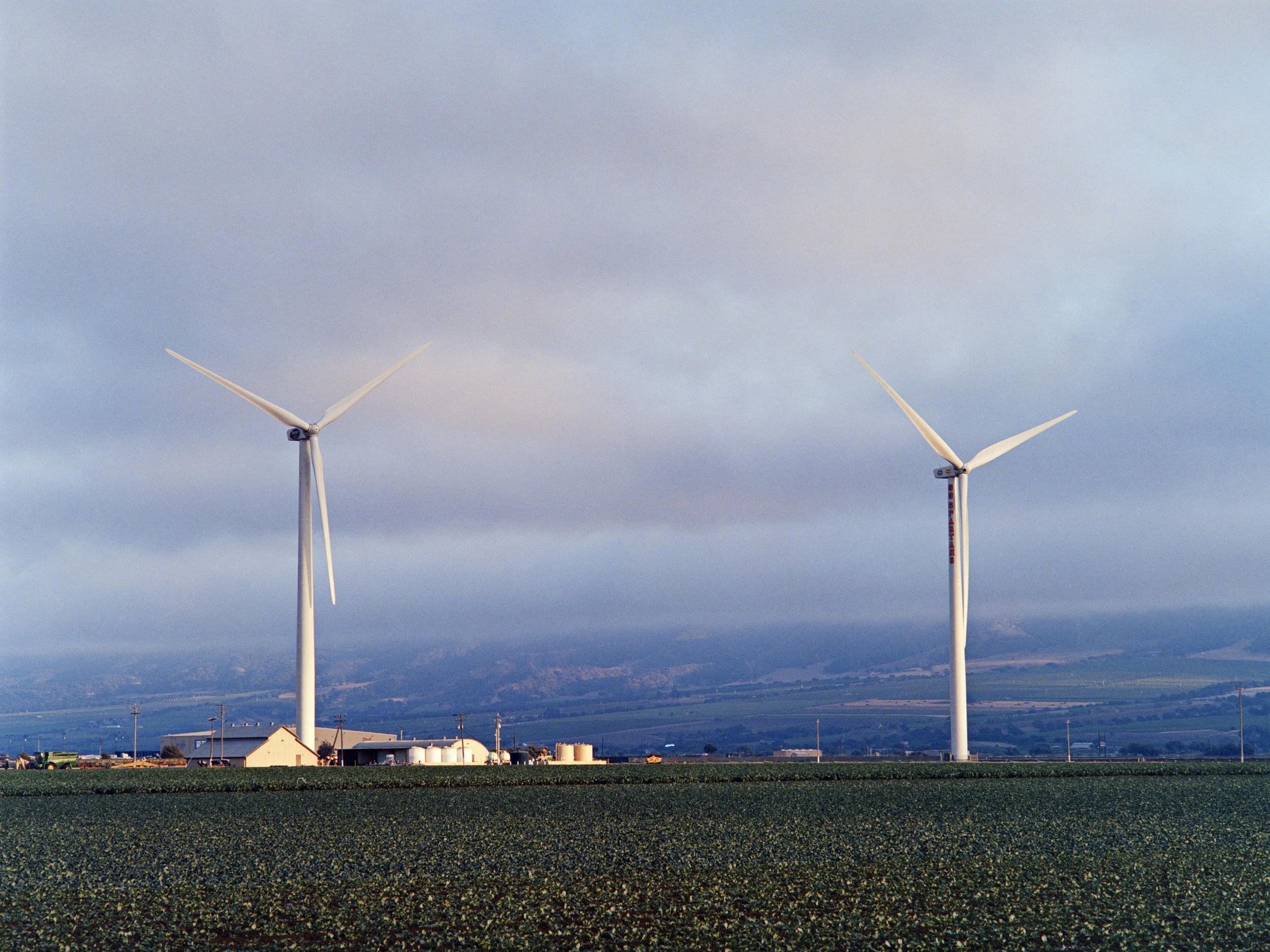 7-6-25-Kodakportra400-645-R102-7 copy 2.jpg