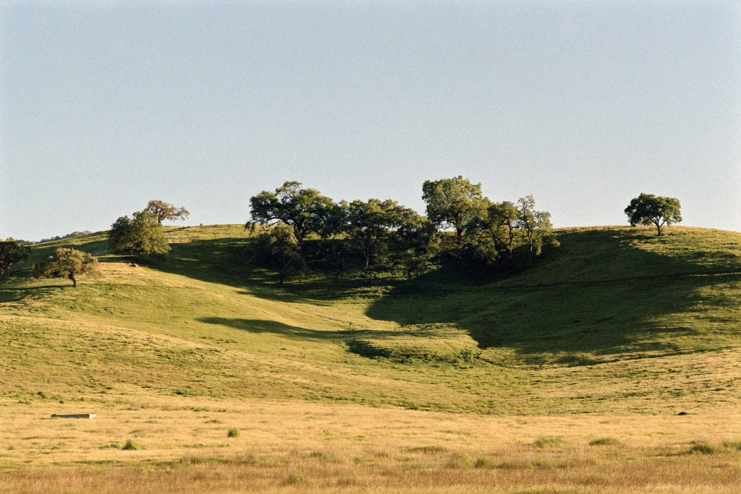 4-9-24-KodakGold-200-R25_48Bit_g2p0142 copy.jpg