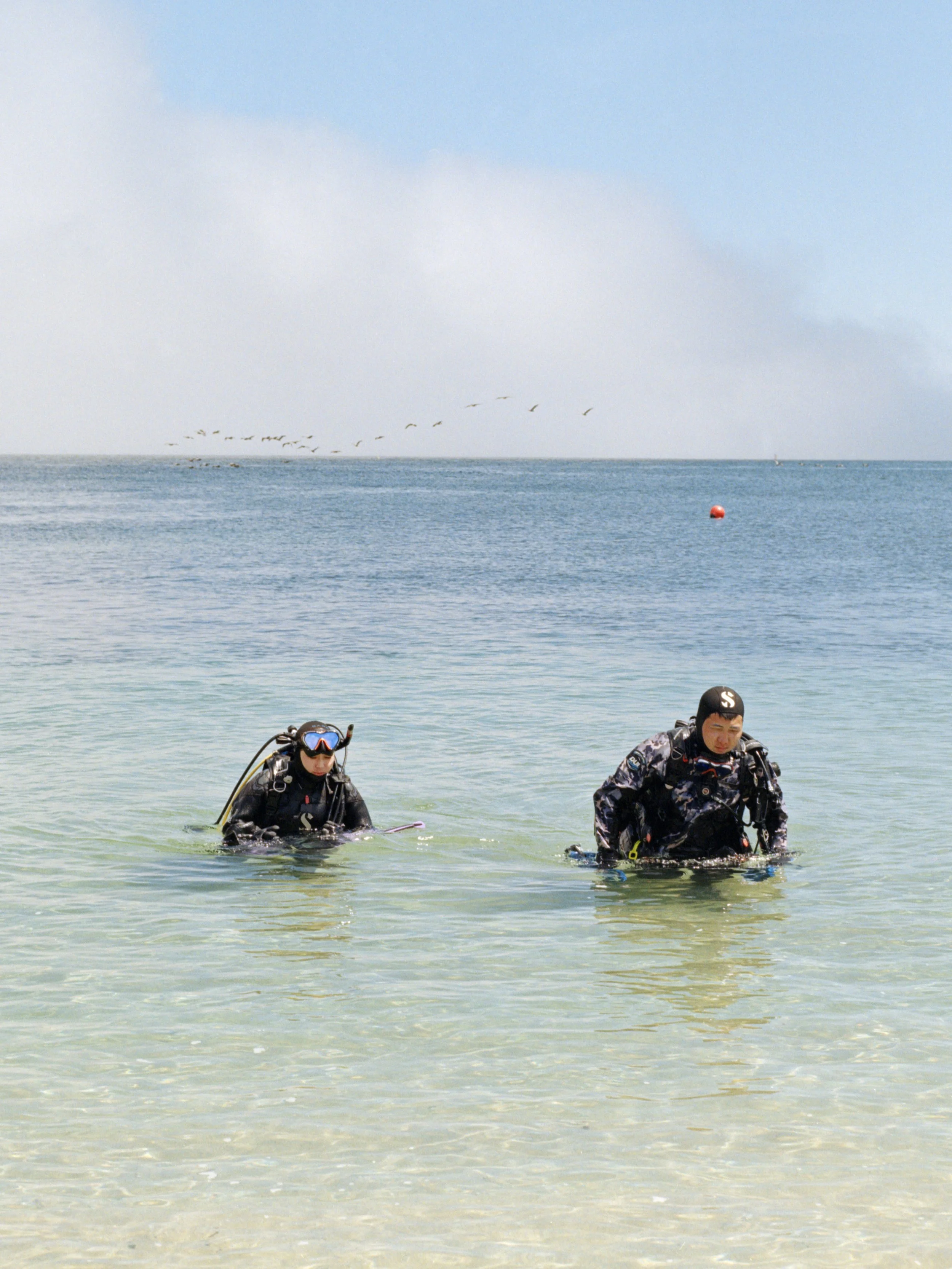 8-26-24-KodakGold200-645-R43-_48Bit_g2p0277 copy.jpg