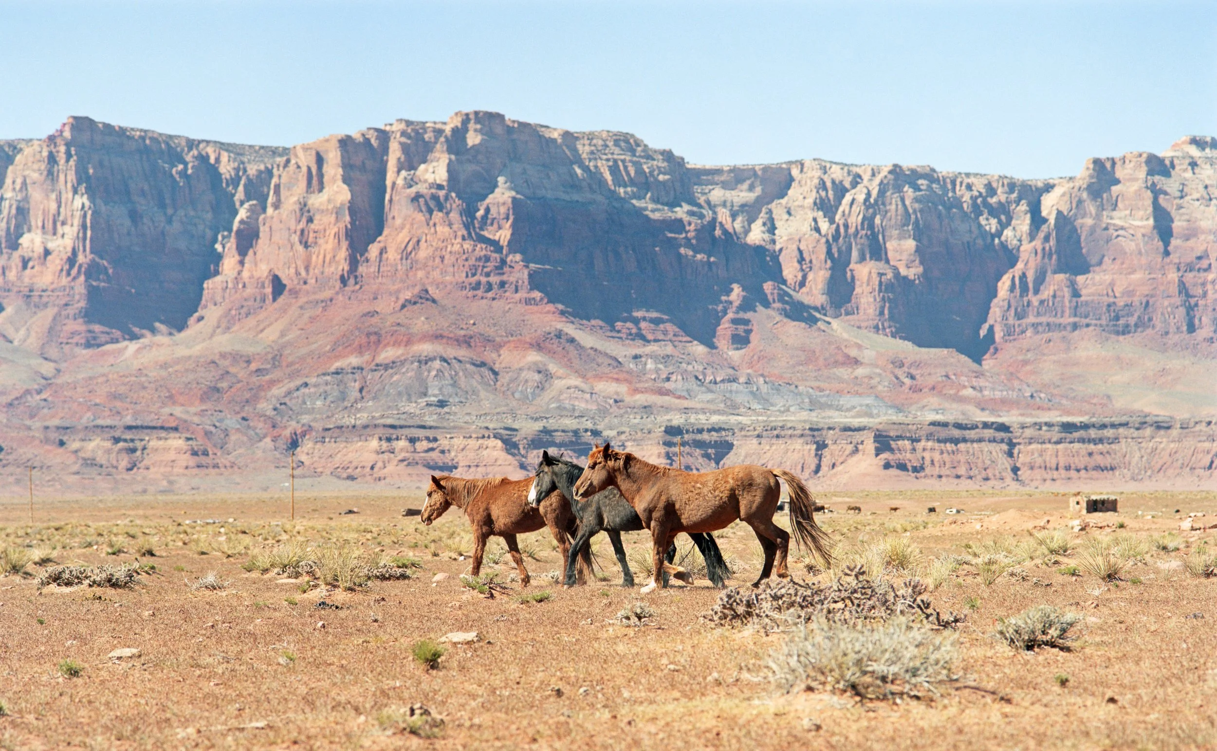 3-18-26-Kodakportra160-120-R171-8 copy 2.jpg