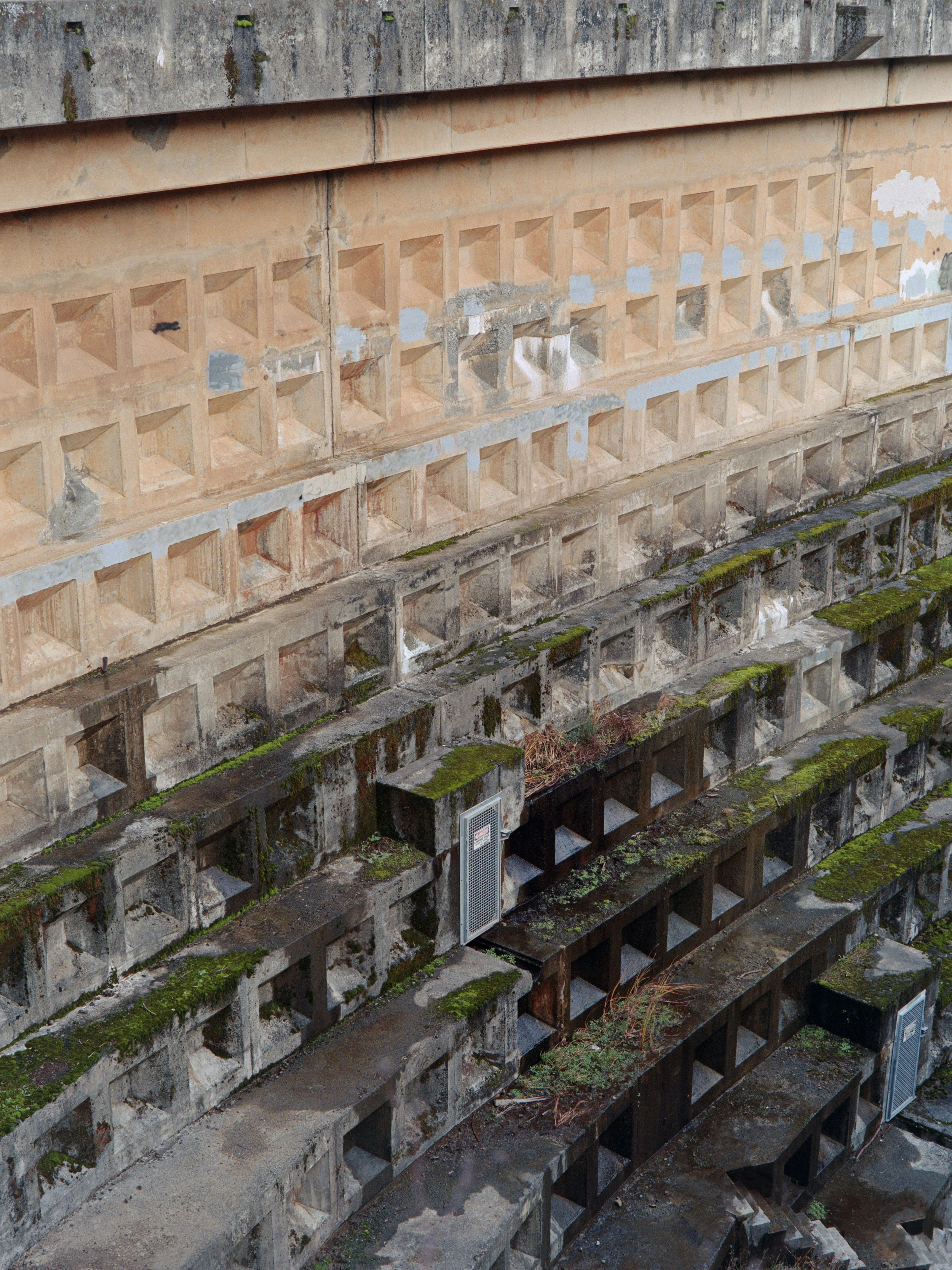 12-27-25-Kodakportra800-120-R143-11 copy.jpg