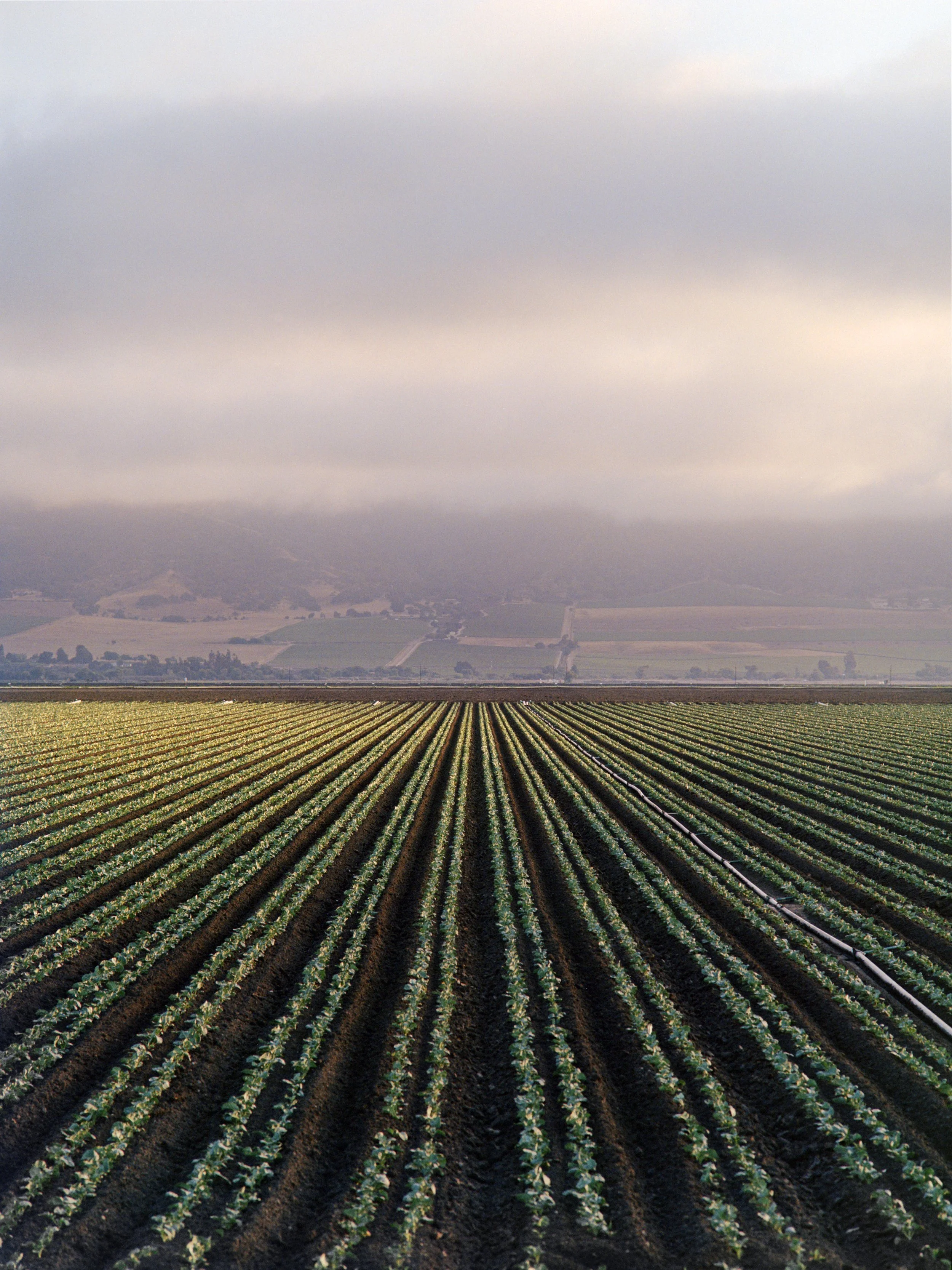 7-6-25-Kodakportra400-645-R102-6 copy 2.jpg