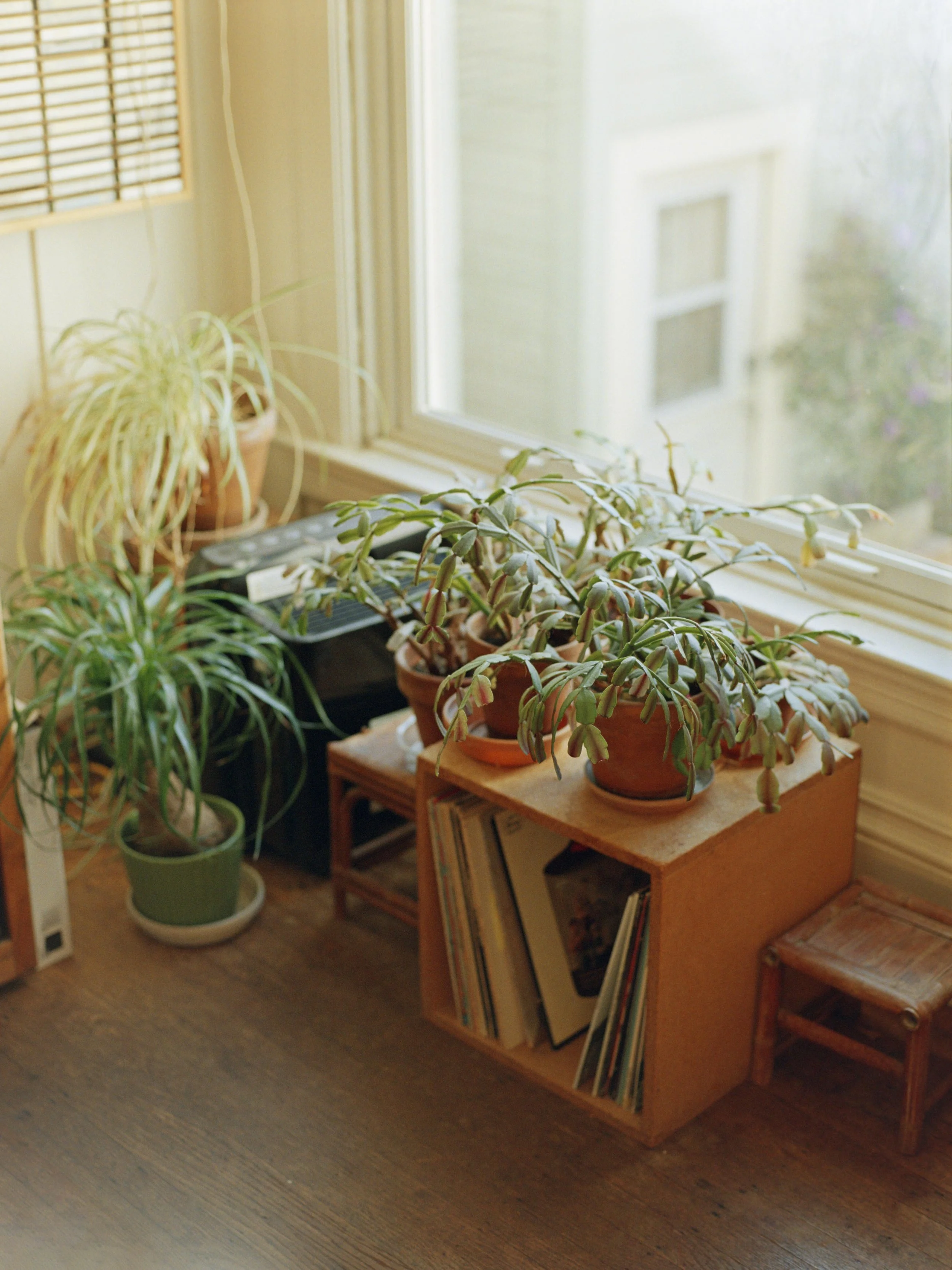 2-12-25-KodakPortra800-645-R72-_48Bit_g2p0330 copy 2.jpg