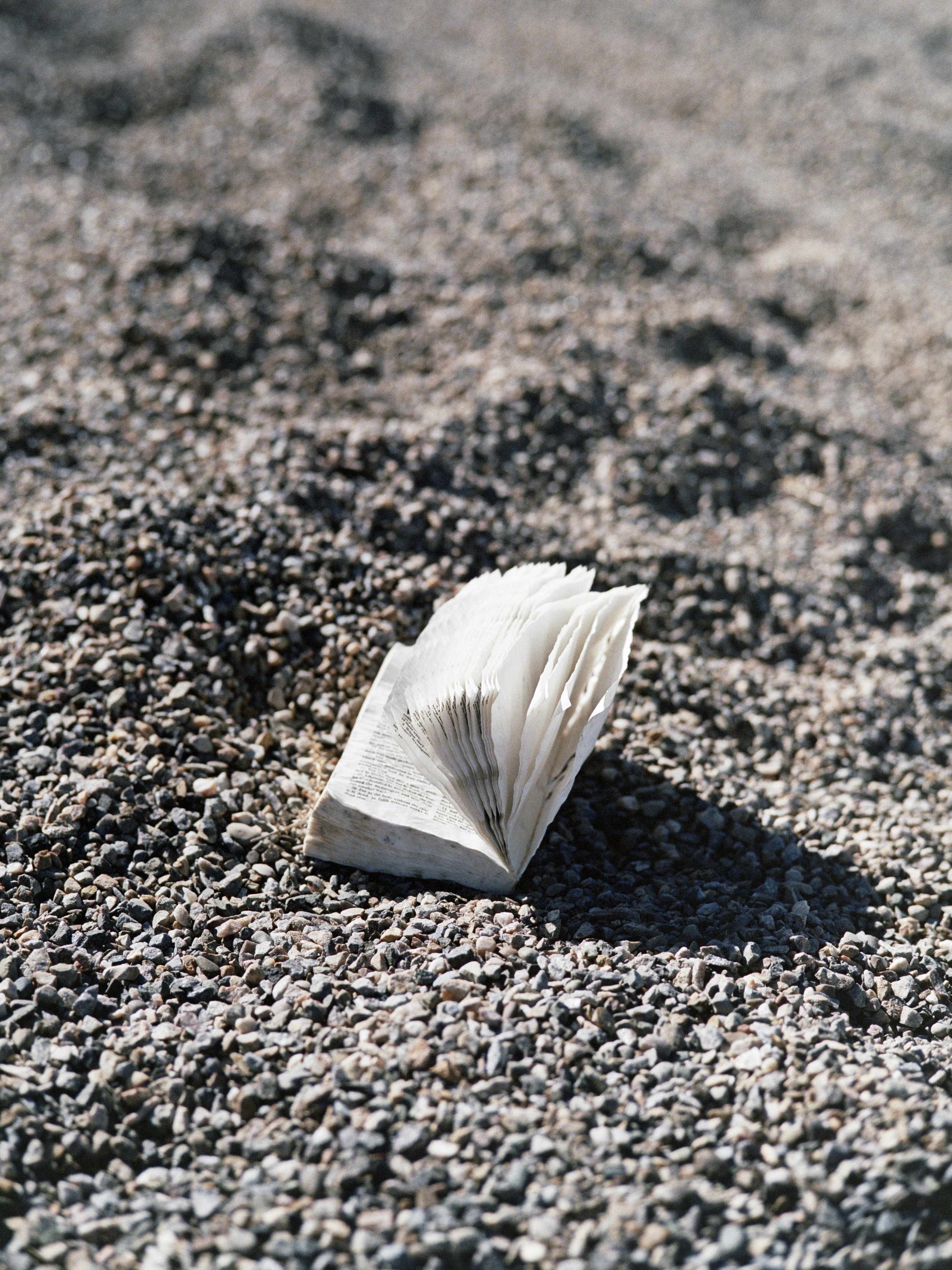 3-16-26-Kodakportra400-120-R161-15 copy.jpg