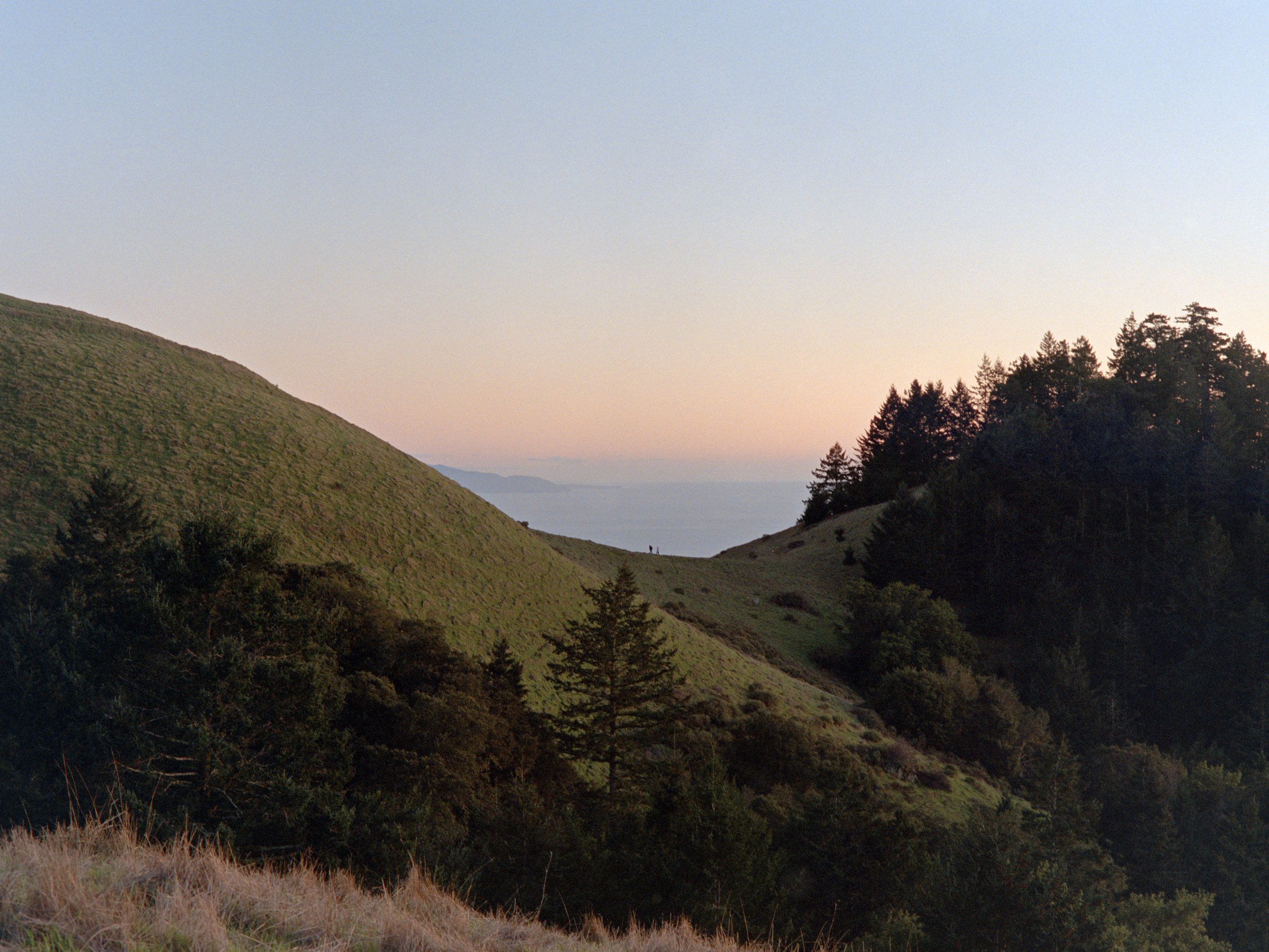 12-27-25-Kodakportra800-120-R143-1 copy.jpg