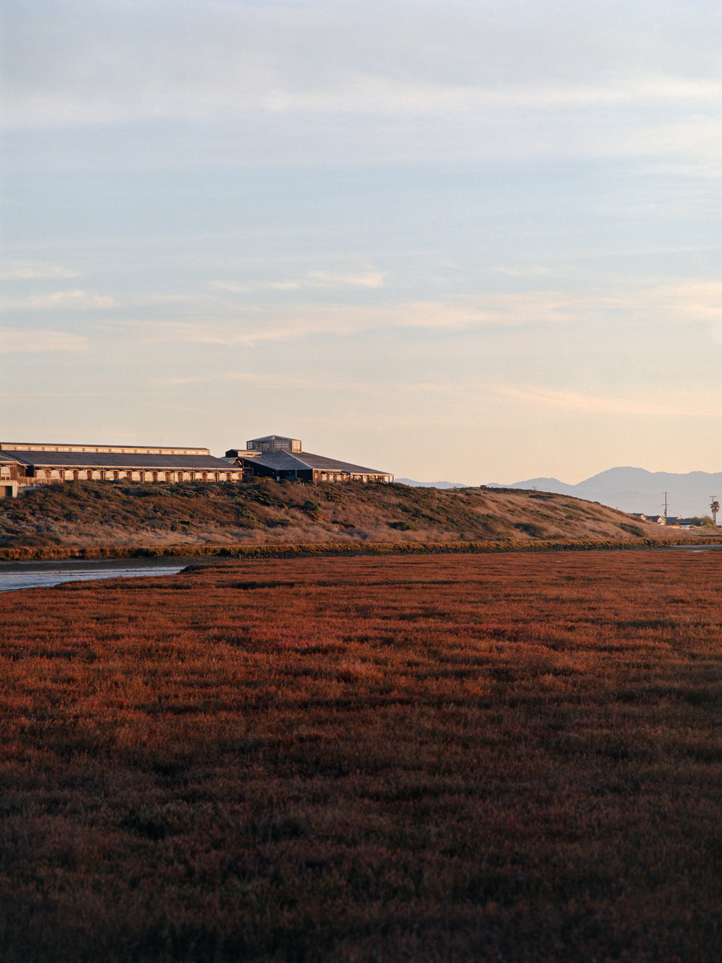 12-7-25-Kodakportra400-120-R136-13 copy.jpg