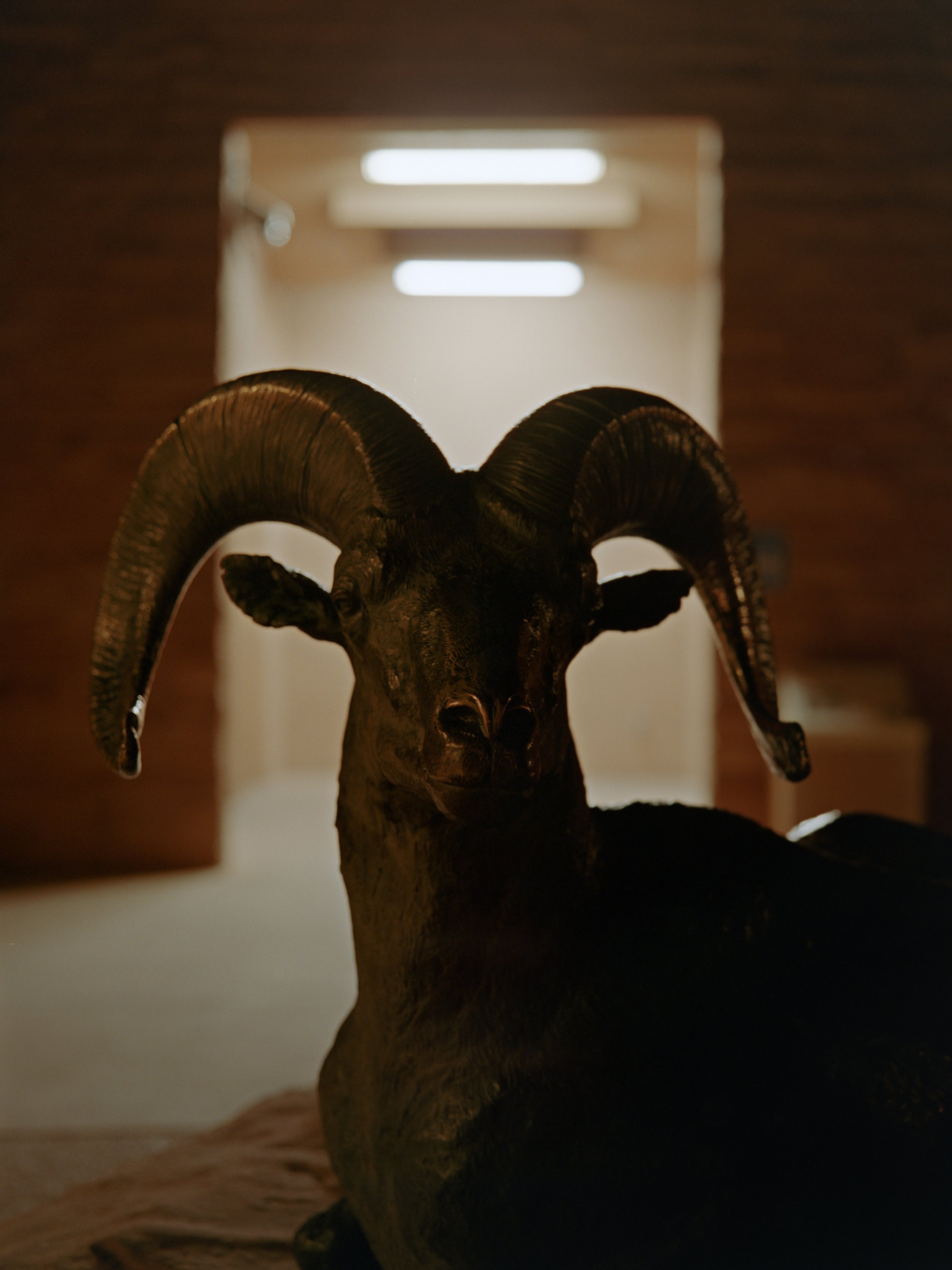 3-15-26a-Kodakportra400-120-R160-2 copy.jpg