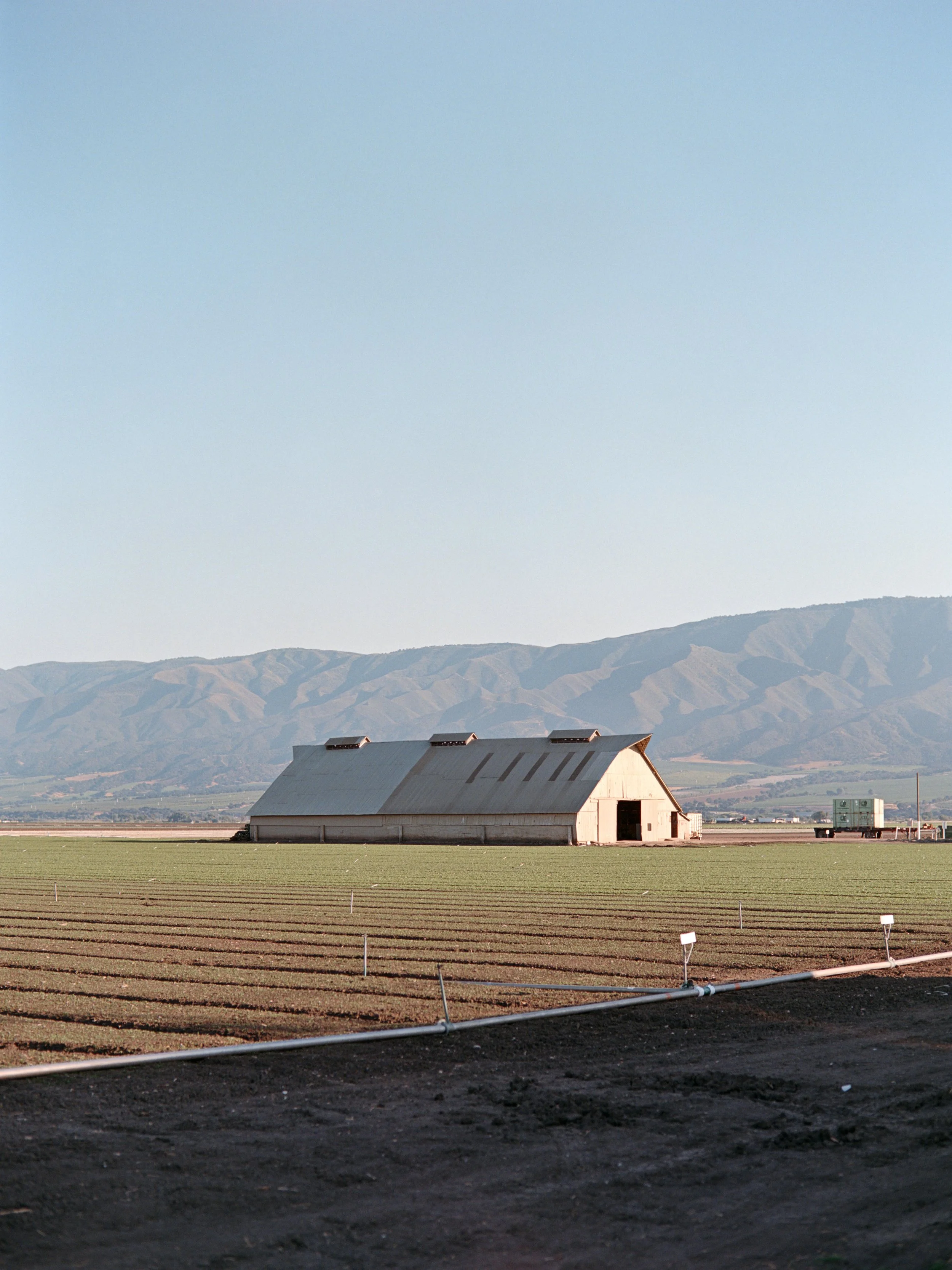 7-6-25-KodakAerocolorIV100-645-R101-19 copy 2.jpg